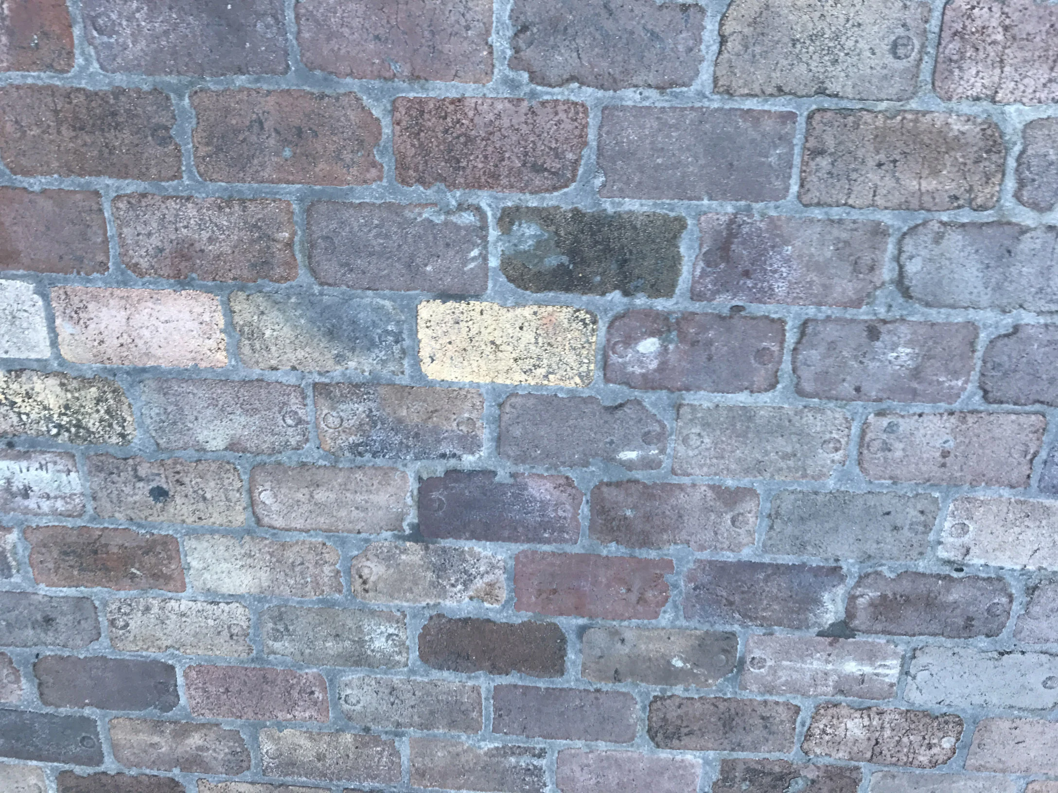 Tramsheds Harold Park, 9 33 58 am.jpg