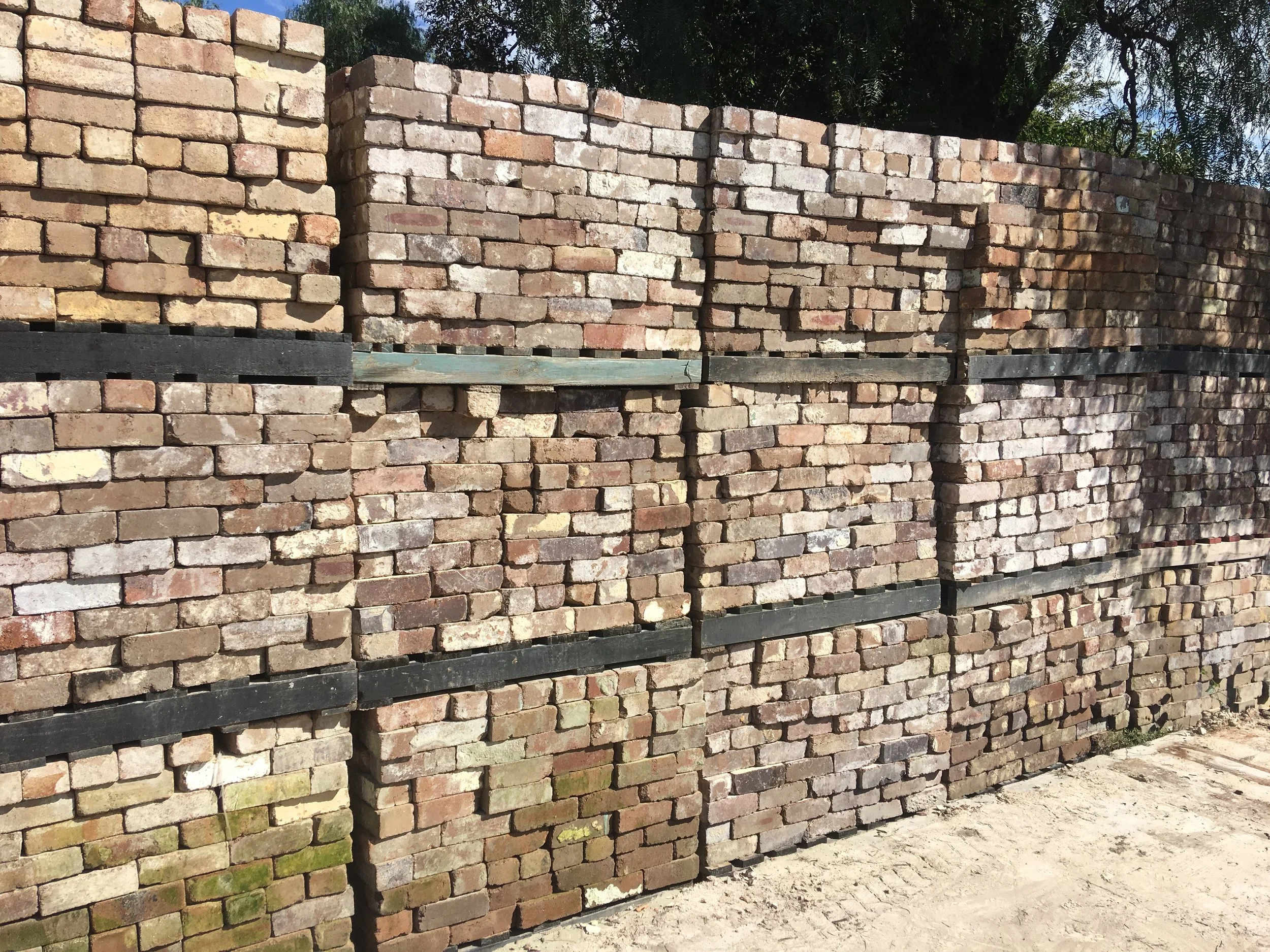 Photo 2-5-17, 11 56 58 am.jpg