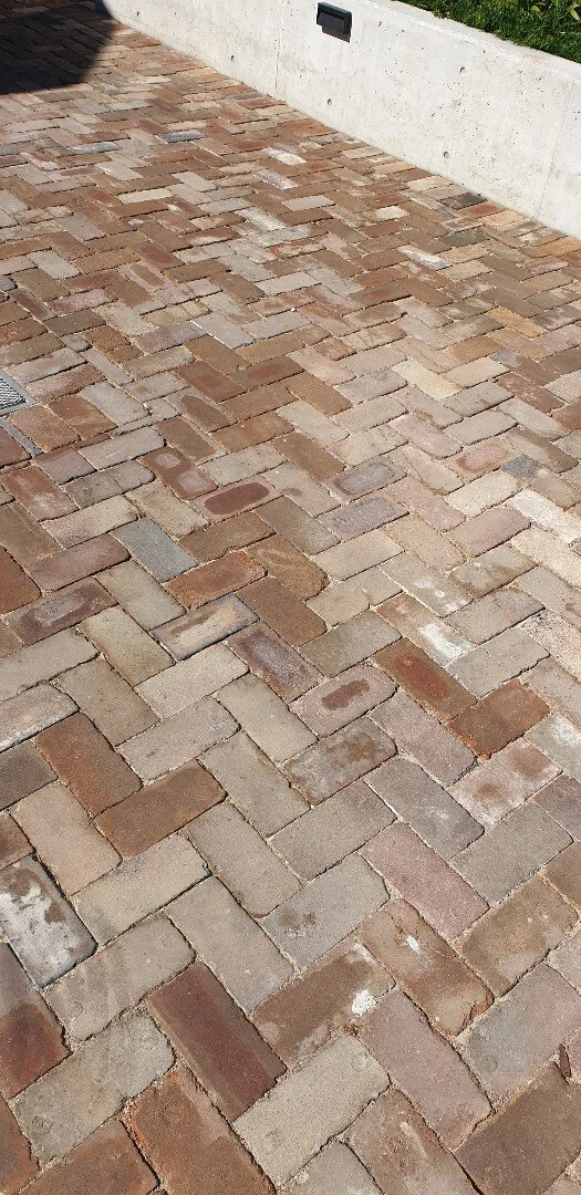 Photo 24-9-19, 9 52 26 am.jpg