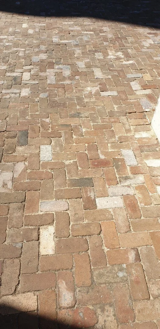 Photo 24-9-19, 9 52 23 am.jpg