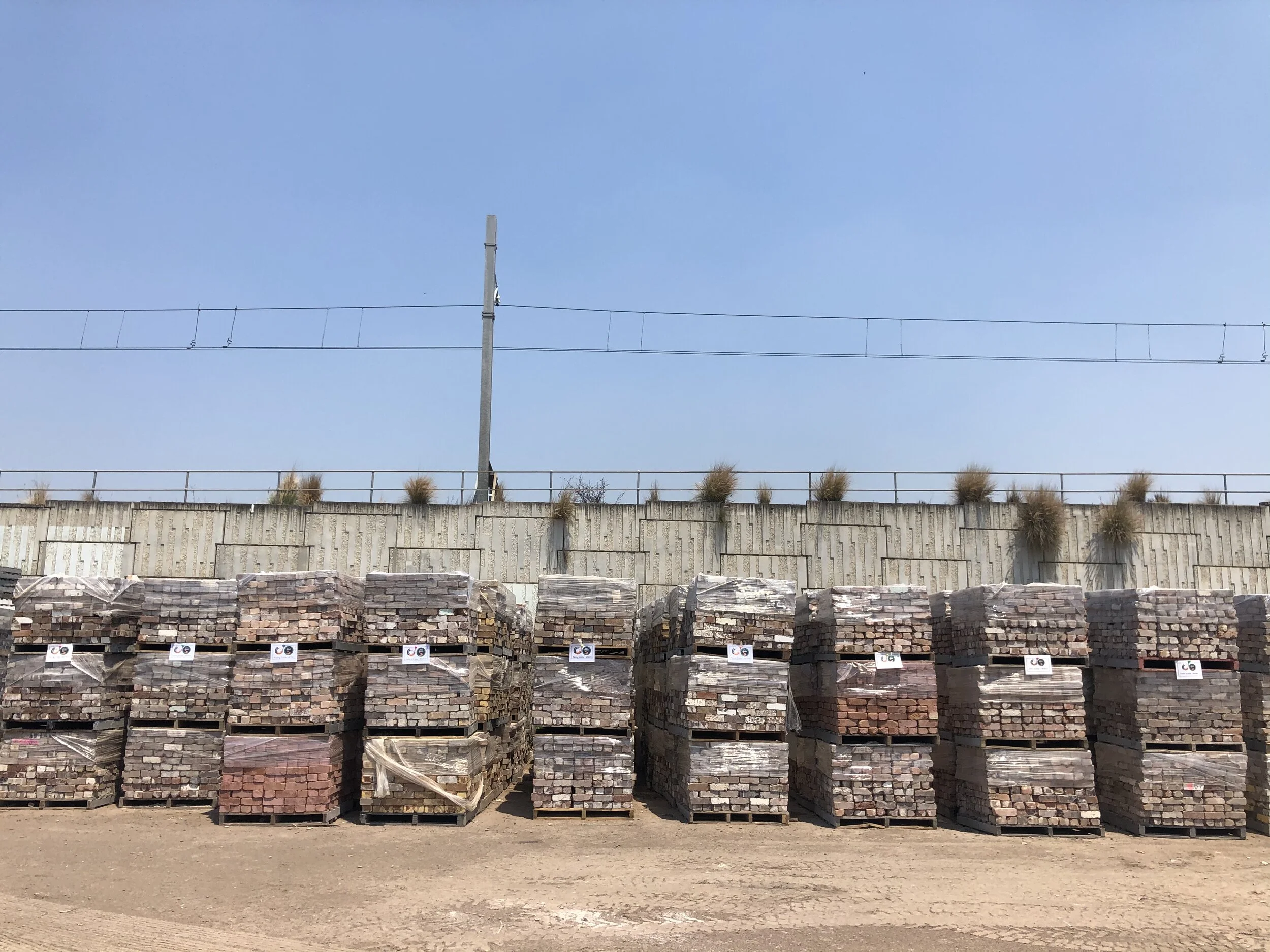 Photo 1-11-19, 12 48 30 pm.jpg