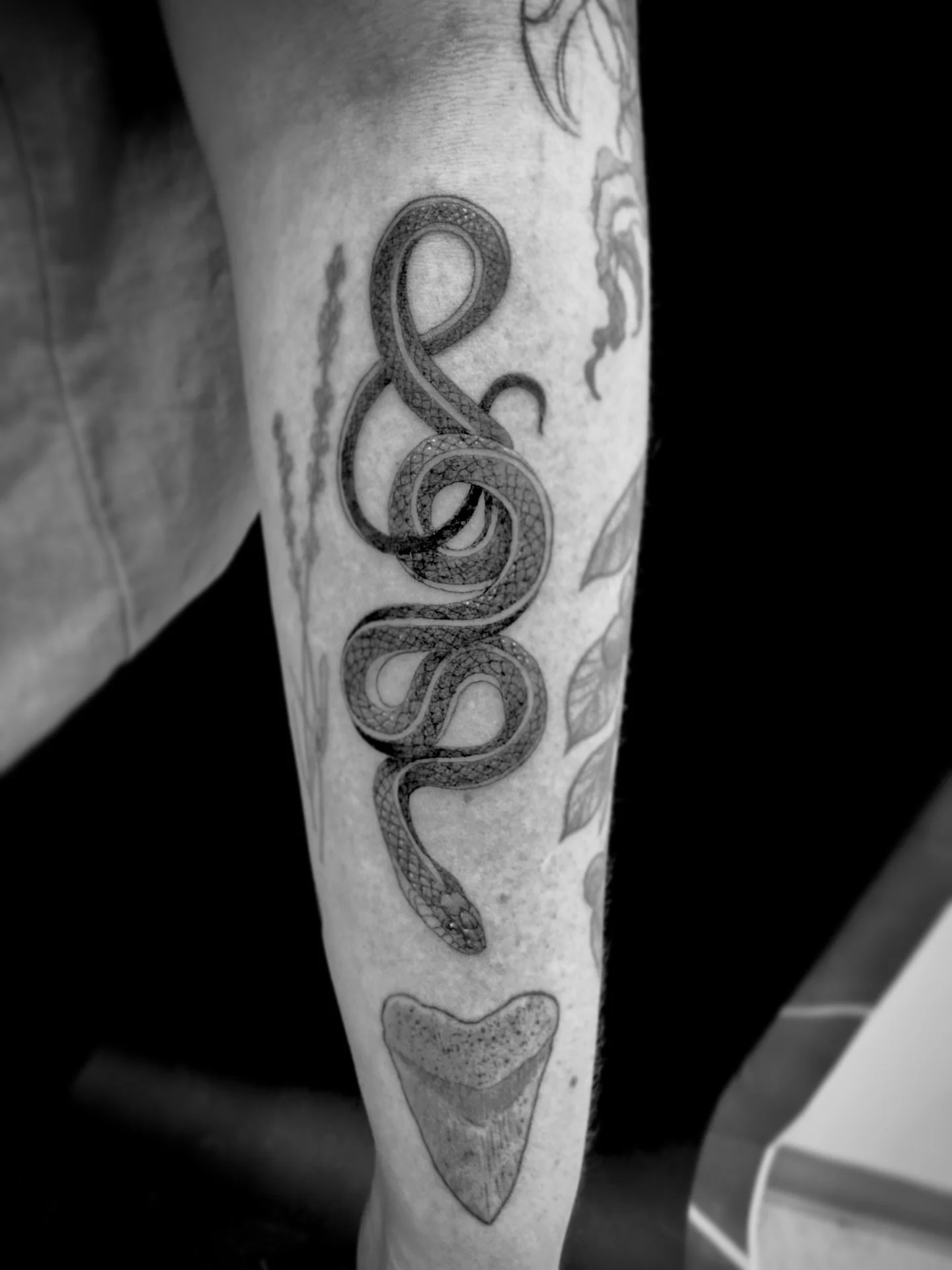 Snek 🐍 🐍 🐍 

#tattoo #snaketattoos #winnipegtattoos #winnipegtattooartist
