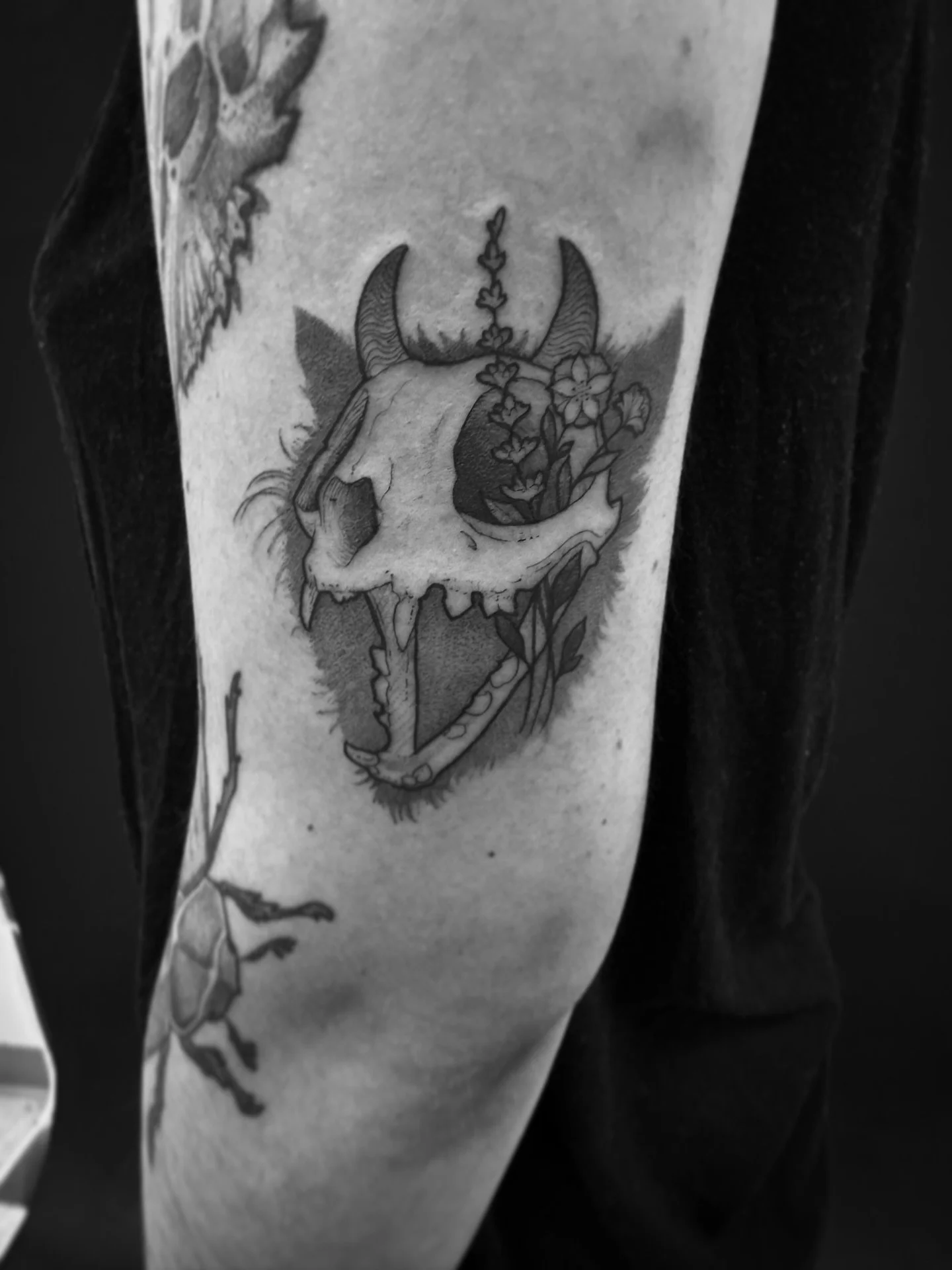 So coooooooooooool! Thank you. 

#tattoo #catskulltattoo #blackandgreytattoos #winnipegtattoos #winnipegtattooartist
