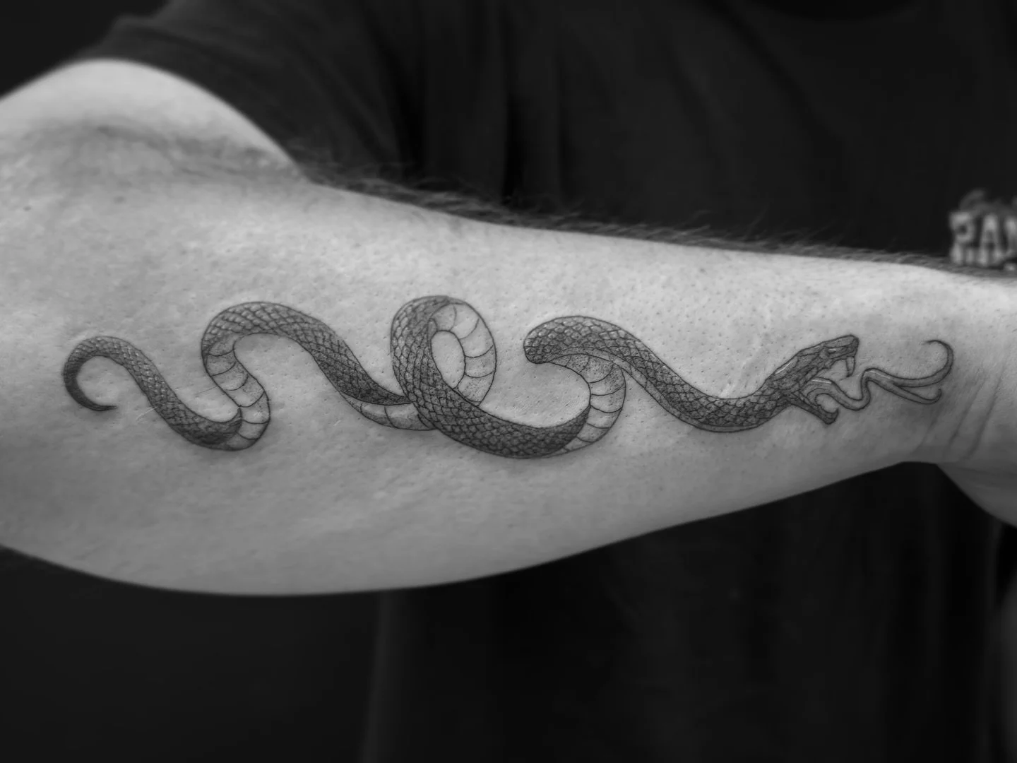 🐍 One of the perks of the job is getting to spend time with different people. This session was non stop laughter. Openings for April if you&rsquo;d like to book.