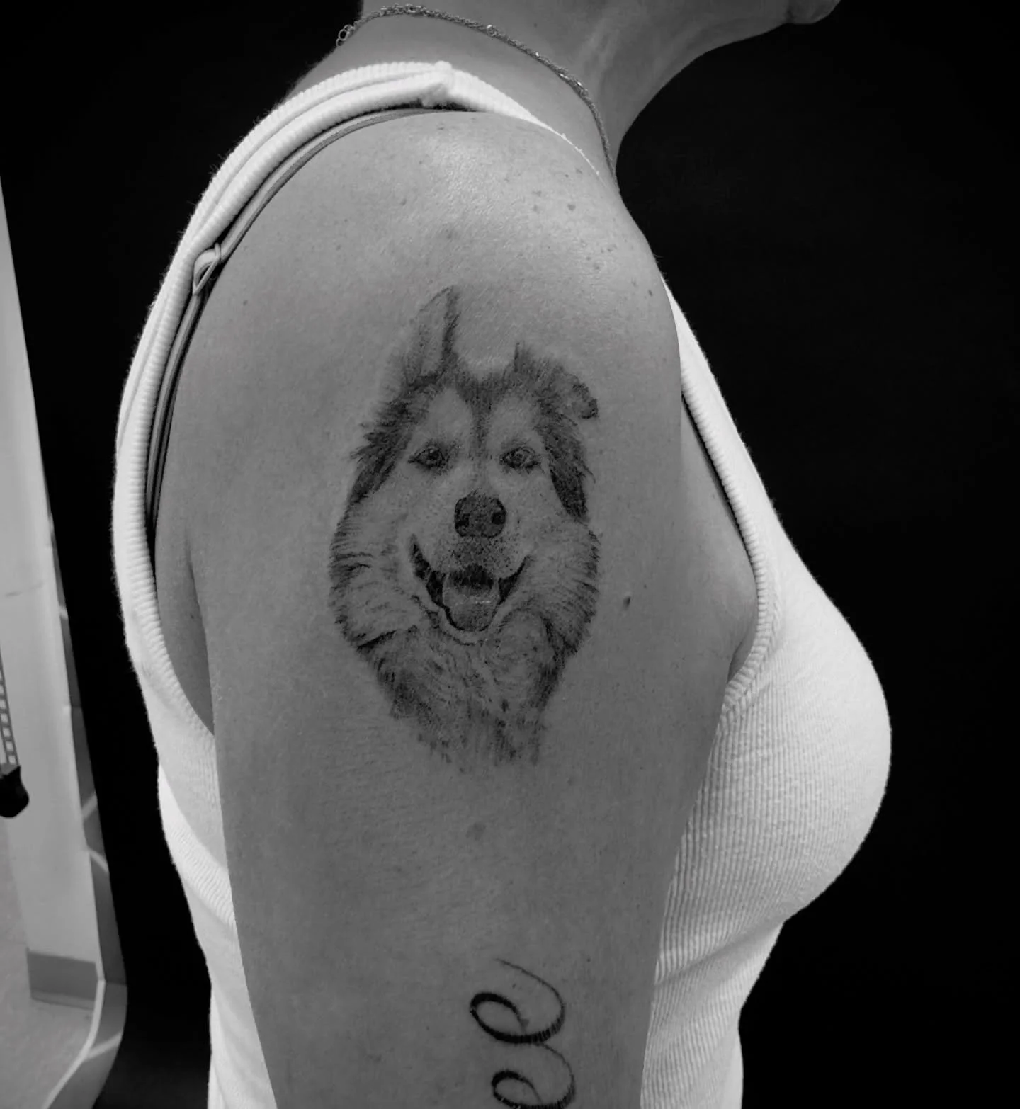 So grateful and happy when I get to do pet portraits. 🐶 

#pettattoo #blackandgreyrealism #winnipegtattoos #winnipegtattooartist