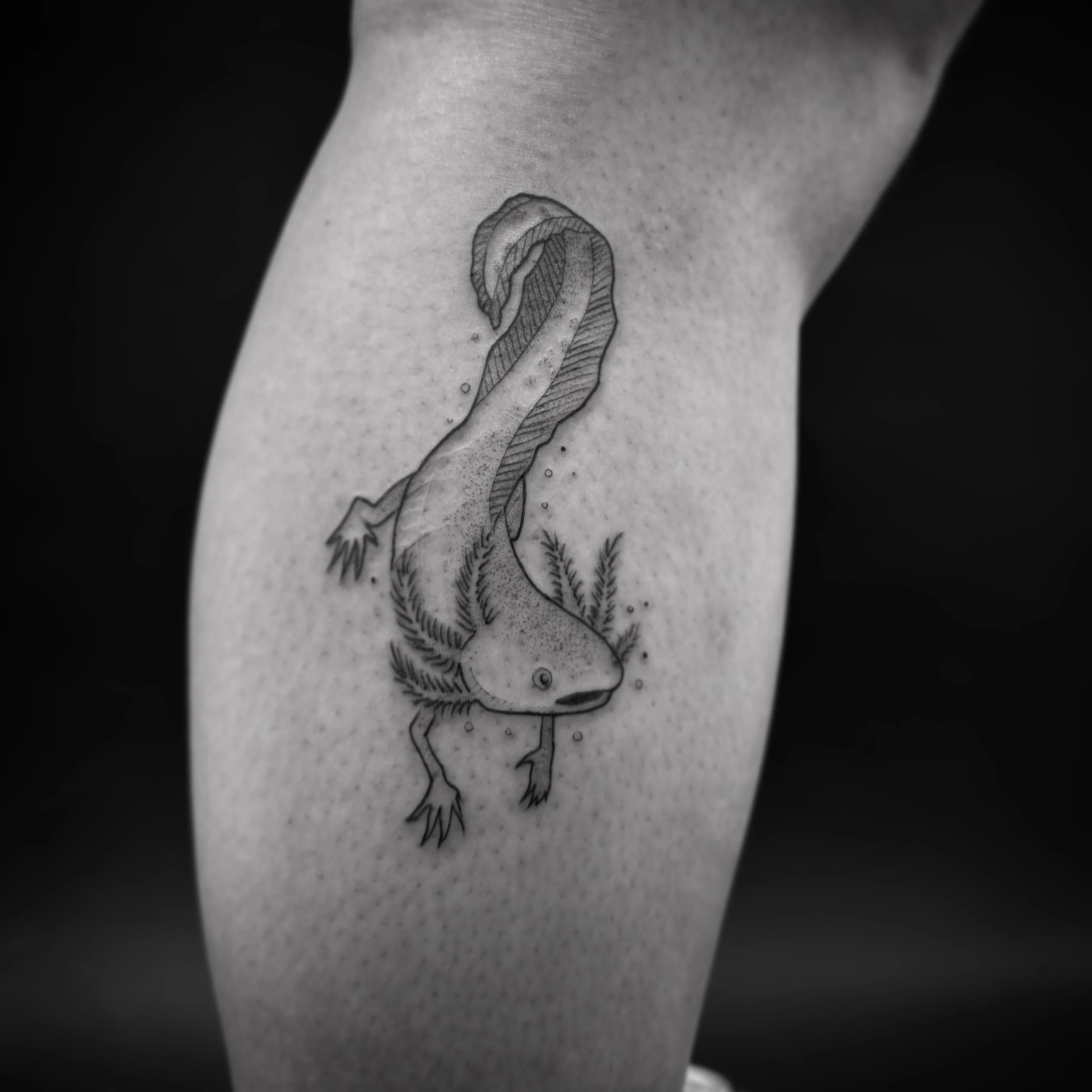 Axolotl!!! I love.