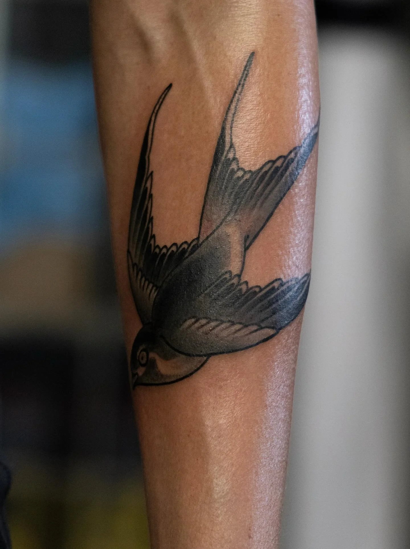 Fun one shot sparrow on my friend @melody_boza. @monpetitpaperco and I are glad you chose to call Tampa home.
