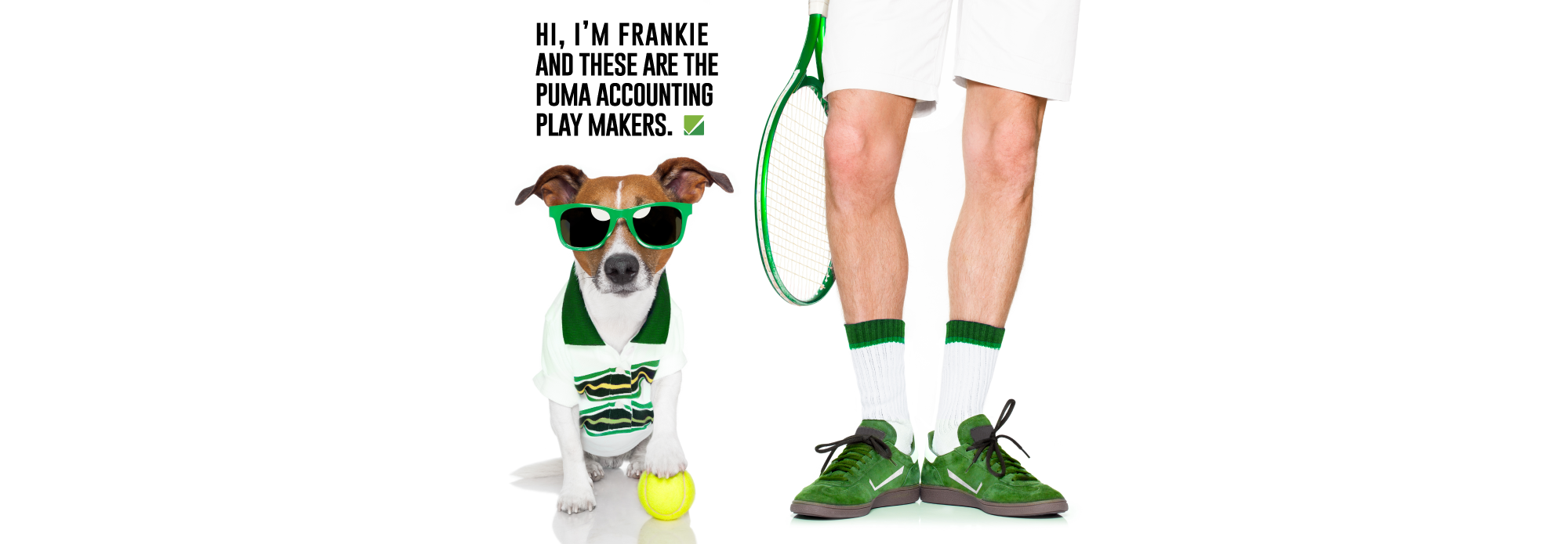 Puma_Accounting_Professional_Accountant_IRS_Tax_Debt_Relief_Team.png