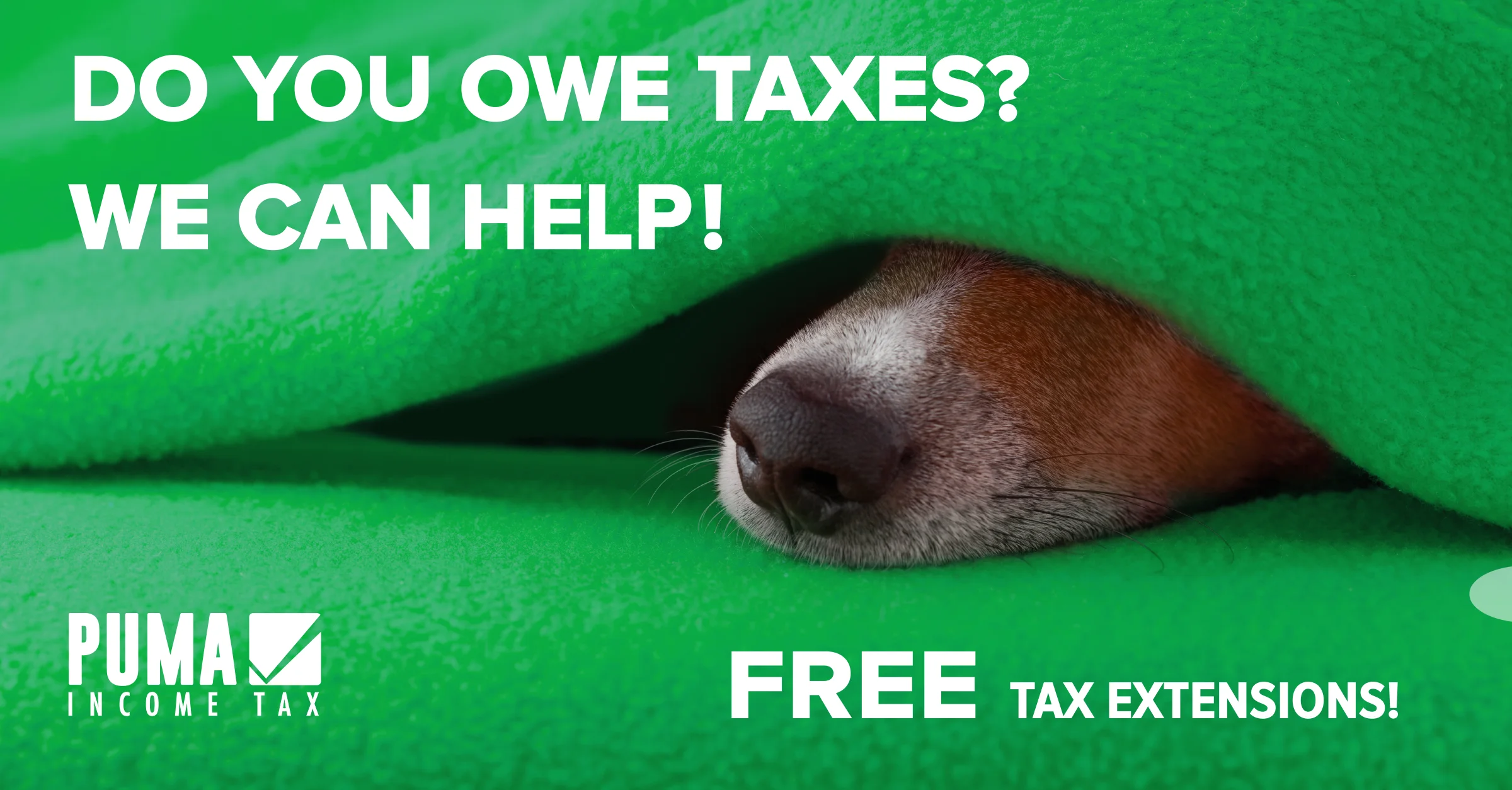 18_PA_ADS_FACEBOOK_FREE_EXTENSION_BLANKET.jpg