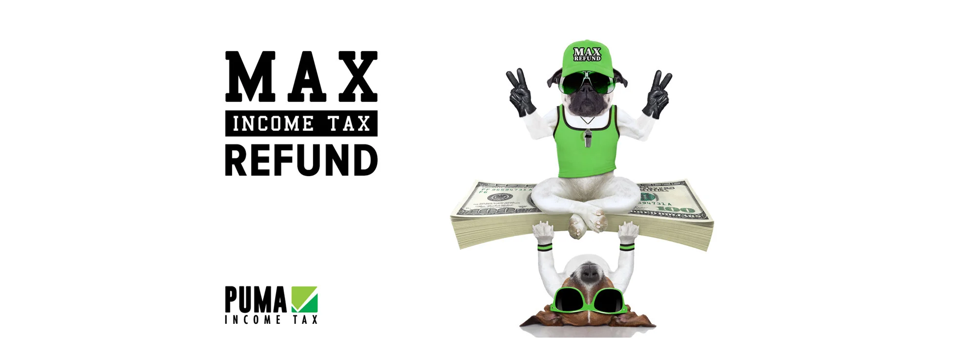 Puma_Accounting_Professional_Income_Tax-header-MAC_REFUND_WEIGHT_BILLS.jpg