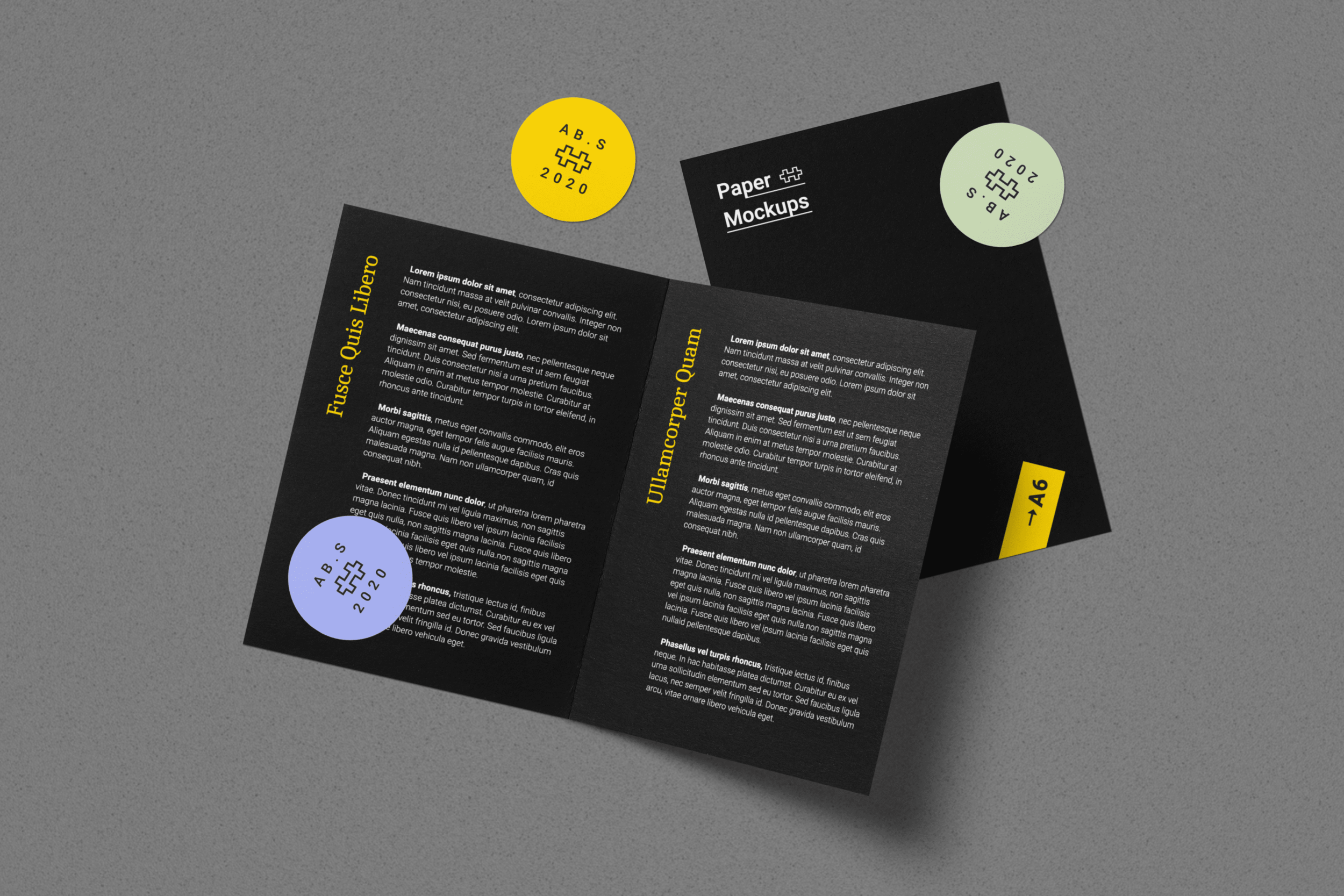 Download Folded A6 Brochure Mockup Scene