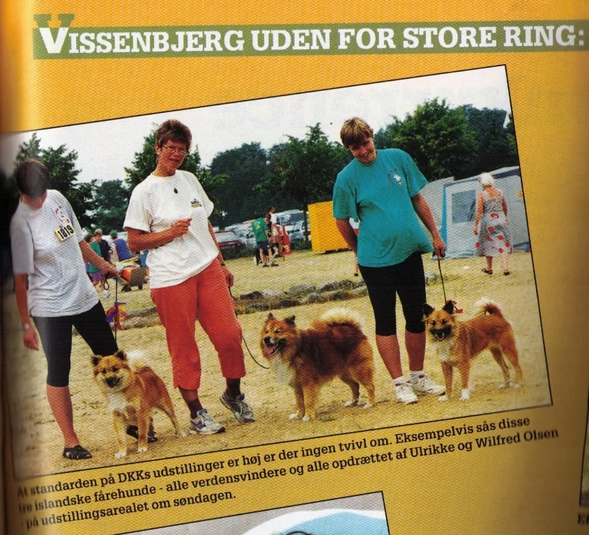 1995.jpg