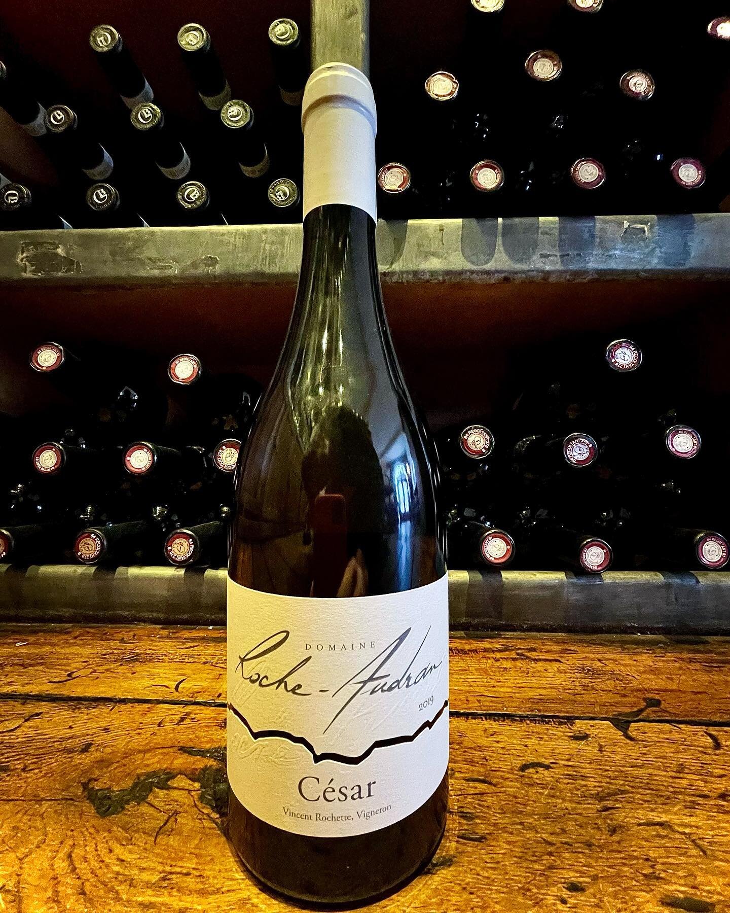 🍷Nouveau vin blanc au verre!

CESAR BLANC 2019 du Domaine Roche-Audran. 

Ce magnifique vin blanc, en dominance de Grenache blanc avec une touche de Viognier, est tr&egrave;s gourmand! 
C&rsquo;est un vin &eacute;l&eacute;gant avec un joli &eacute;q