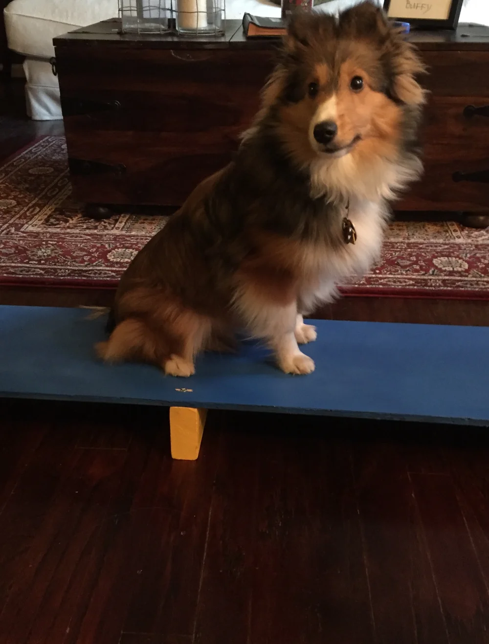 DIY: Build your own training/travel plank. — The Agility Chronicles