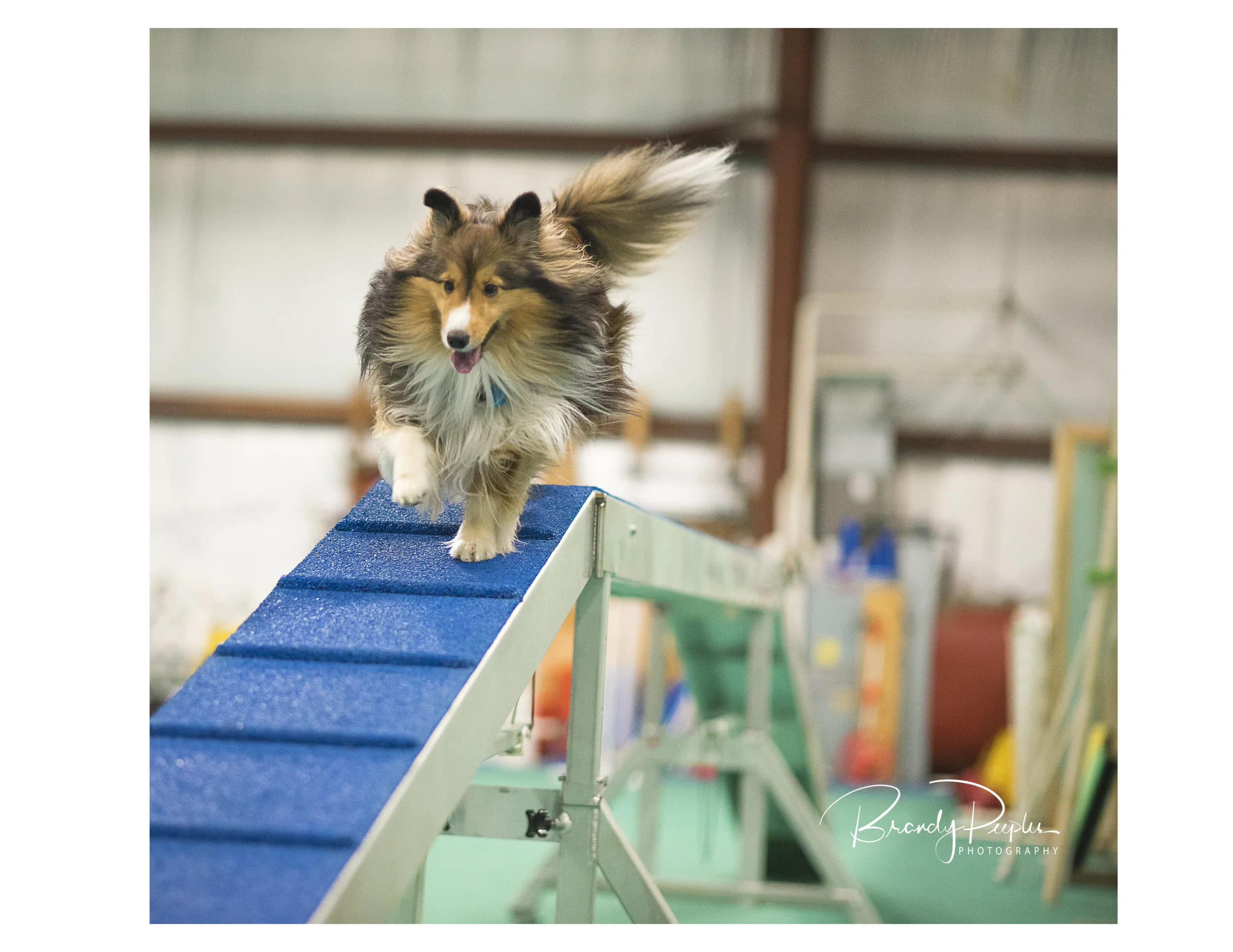 tip assist agility