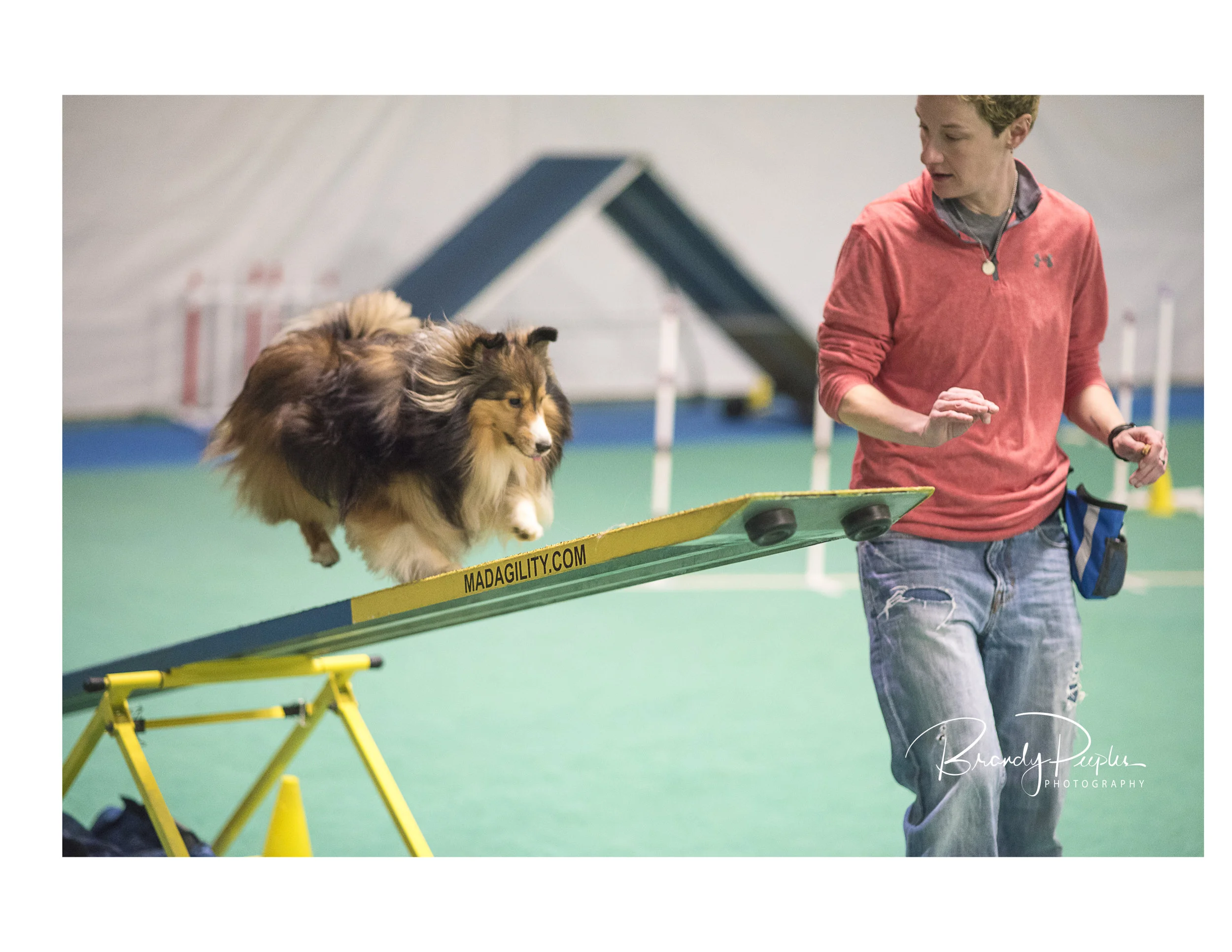 tip assist agility