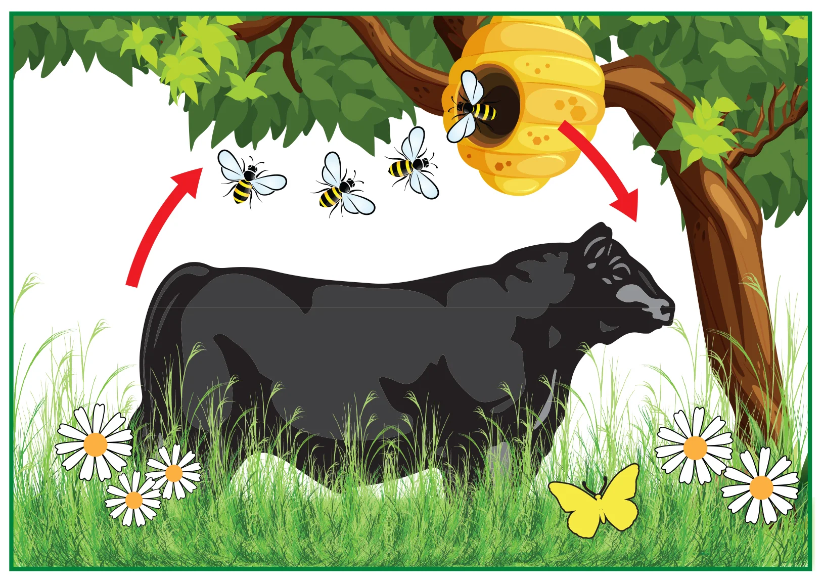 NR+Circle+of+Life+Angus+Bee+Hive+Master.jpg