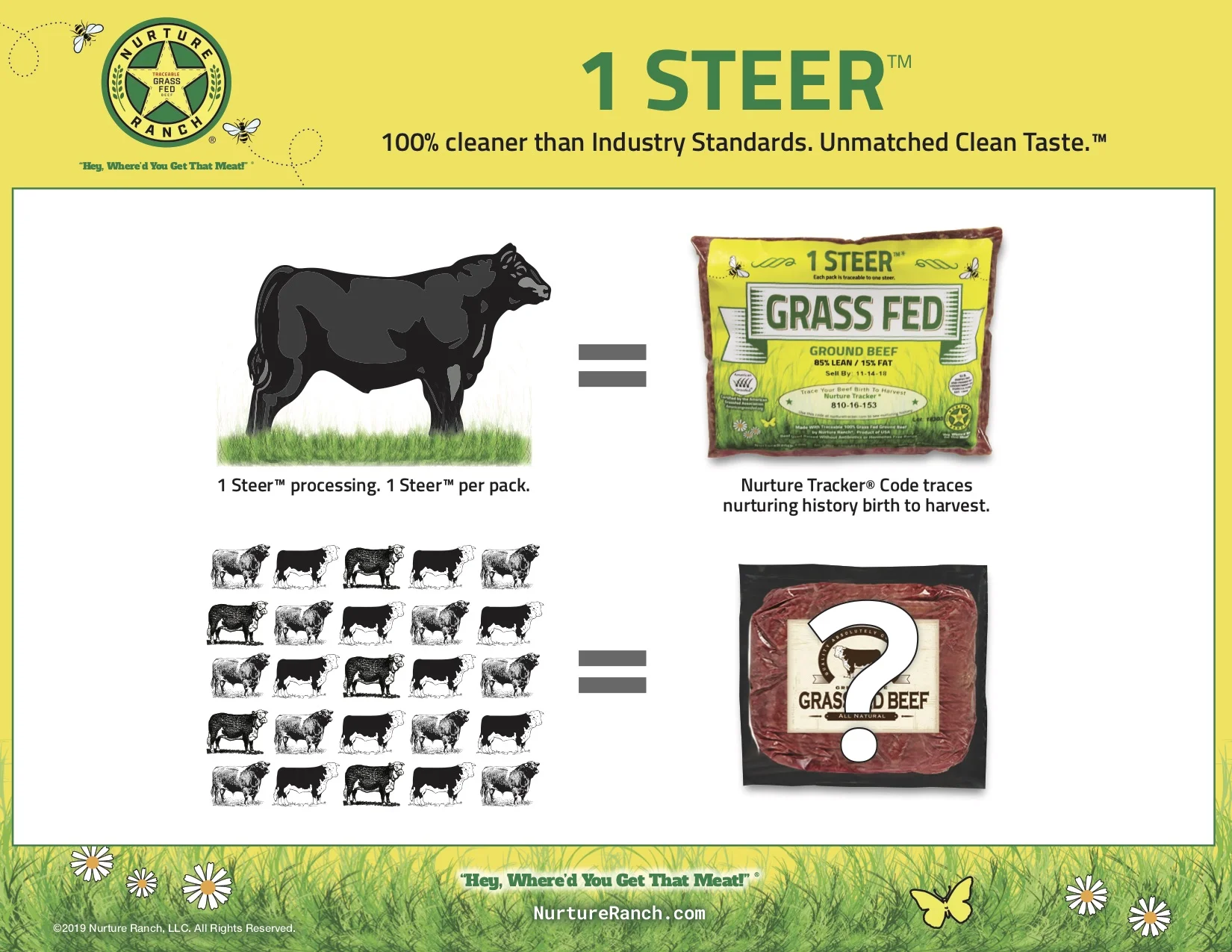 1+Steer+per+pack+JPEG.jpg