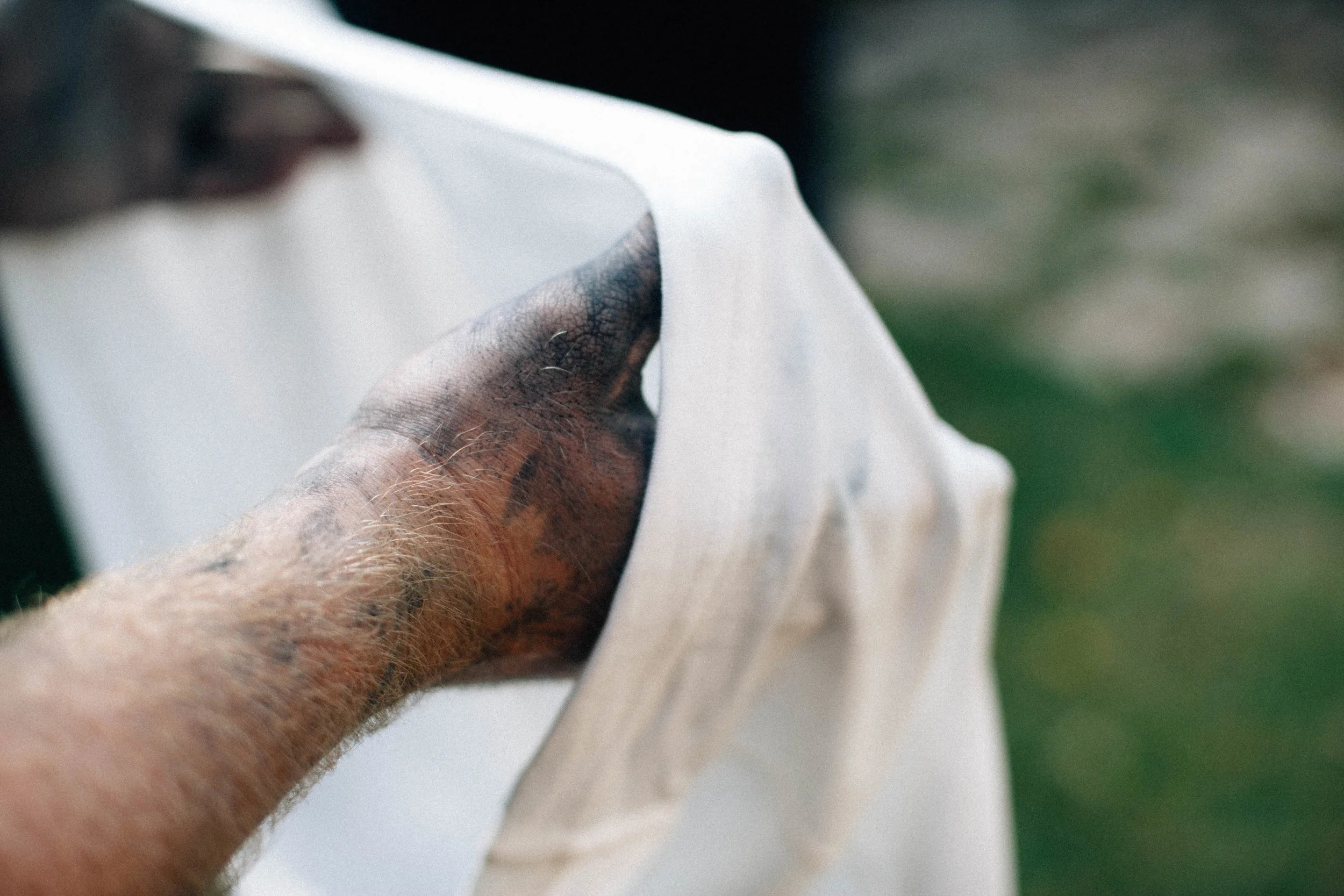 3SIXTEEN INDIGO DYE PROJECT