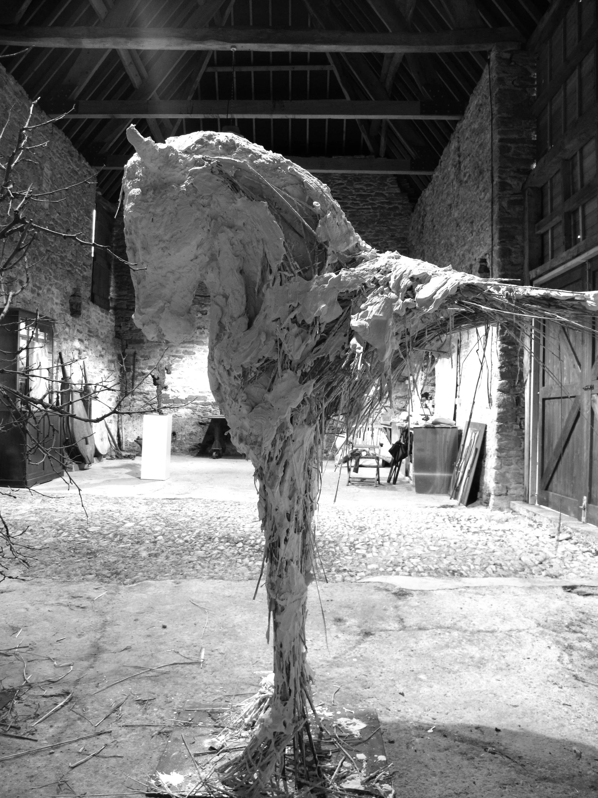 studio-plaster.jpg