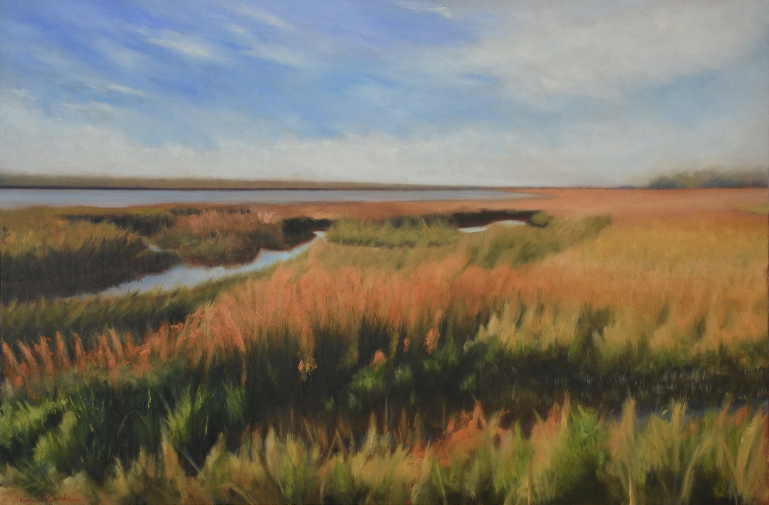 Lowcountry Marshlands