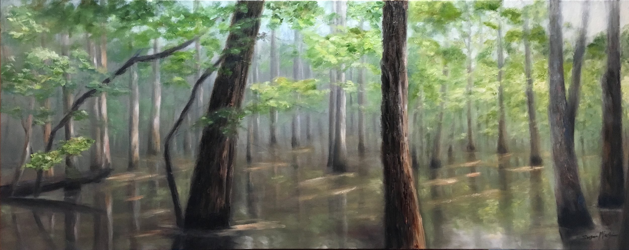 Misty Congaree Morning