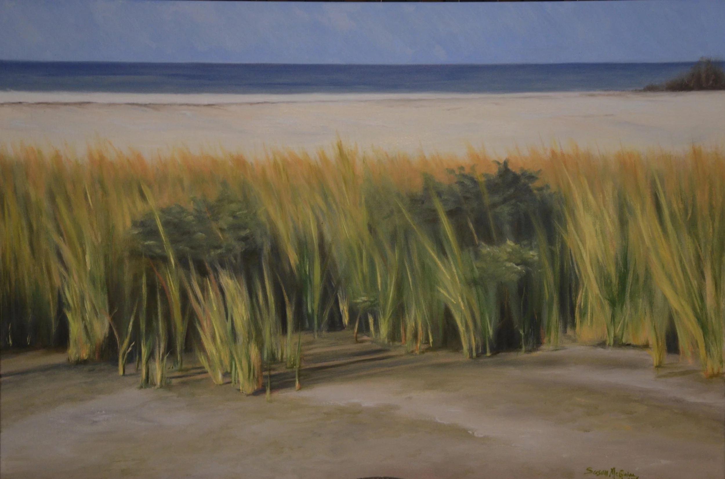 Beach Grasses