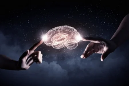 segredo-cerebro-inteligente-vitaminas-Escola-Eduardo-Cirilo-Método-DeRose-Porto-viveremaltaperformance.jpg