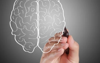 segredo-cerebro-inteligente-vitaminas-Escola-Eduardo-Cirilo-Método-DeRose-Porto-viveremaltaperformance-11.jpg
