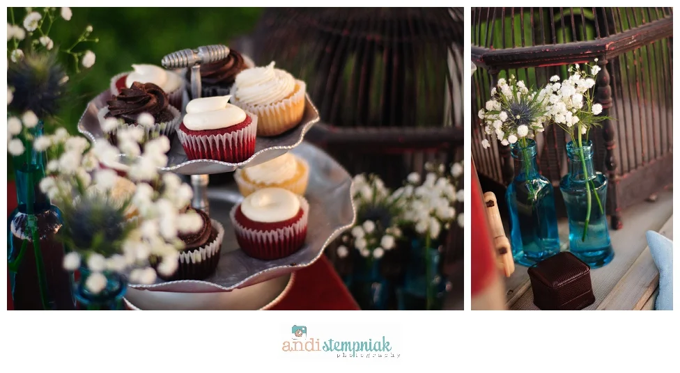 Wausua Wedding photographer,surprise proposal,Eau Claire,Wisconsin,Fergusons' Orchard,styled session,