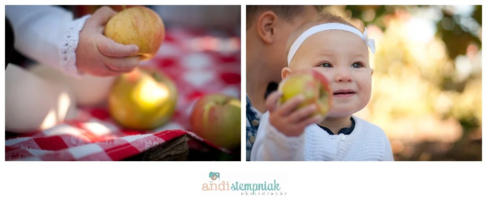 fall family photos at the orchard