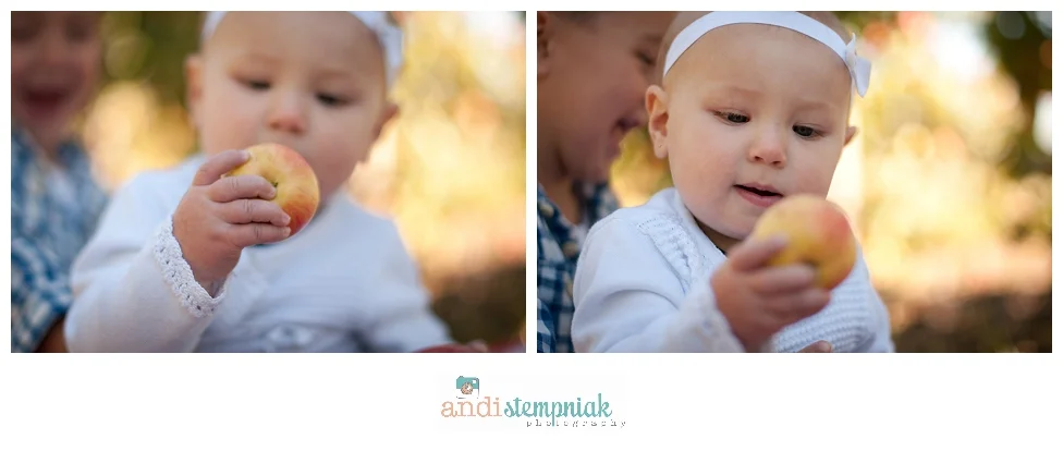 fall family photos at the orchard