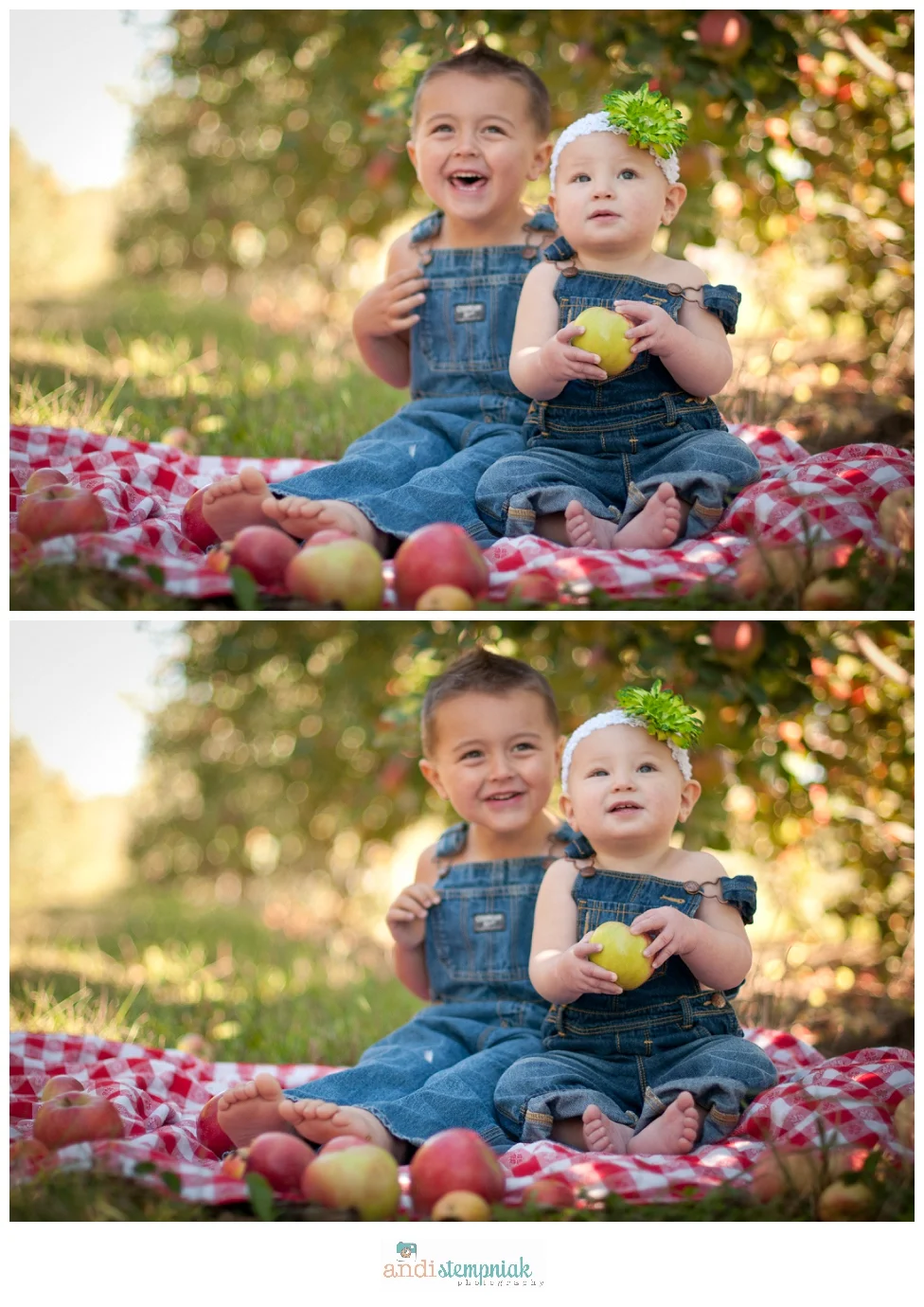 fall family photos at the orchard
