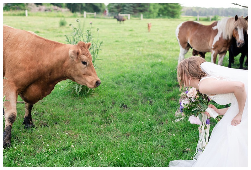 Wisconsin_farm_wedding_0029.jpg