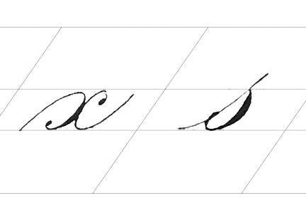 charlotte_1.png