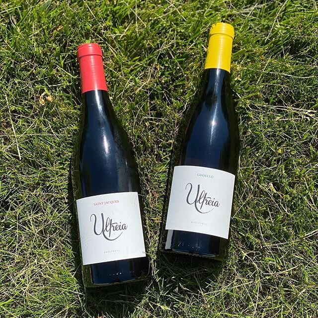 💥Pumped💥to finally have these wines in MI! 💪 Nice work @vino_and_vizslas &bull;
&bull;
Ra&uacute;l P&eacute;rez Pereira is universally considered to be one of the world&rsquo;s most visionary winemakers. Since he produced his first vintage for his