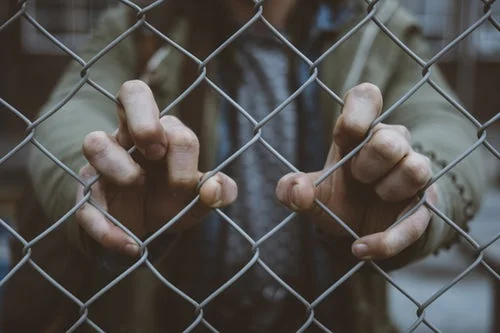 FENCE.jpg