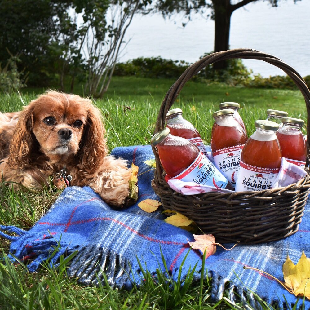 CharliePicnic.jpg