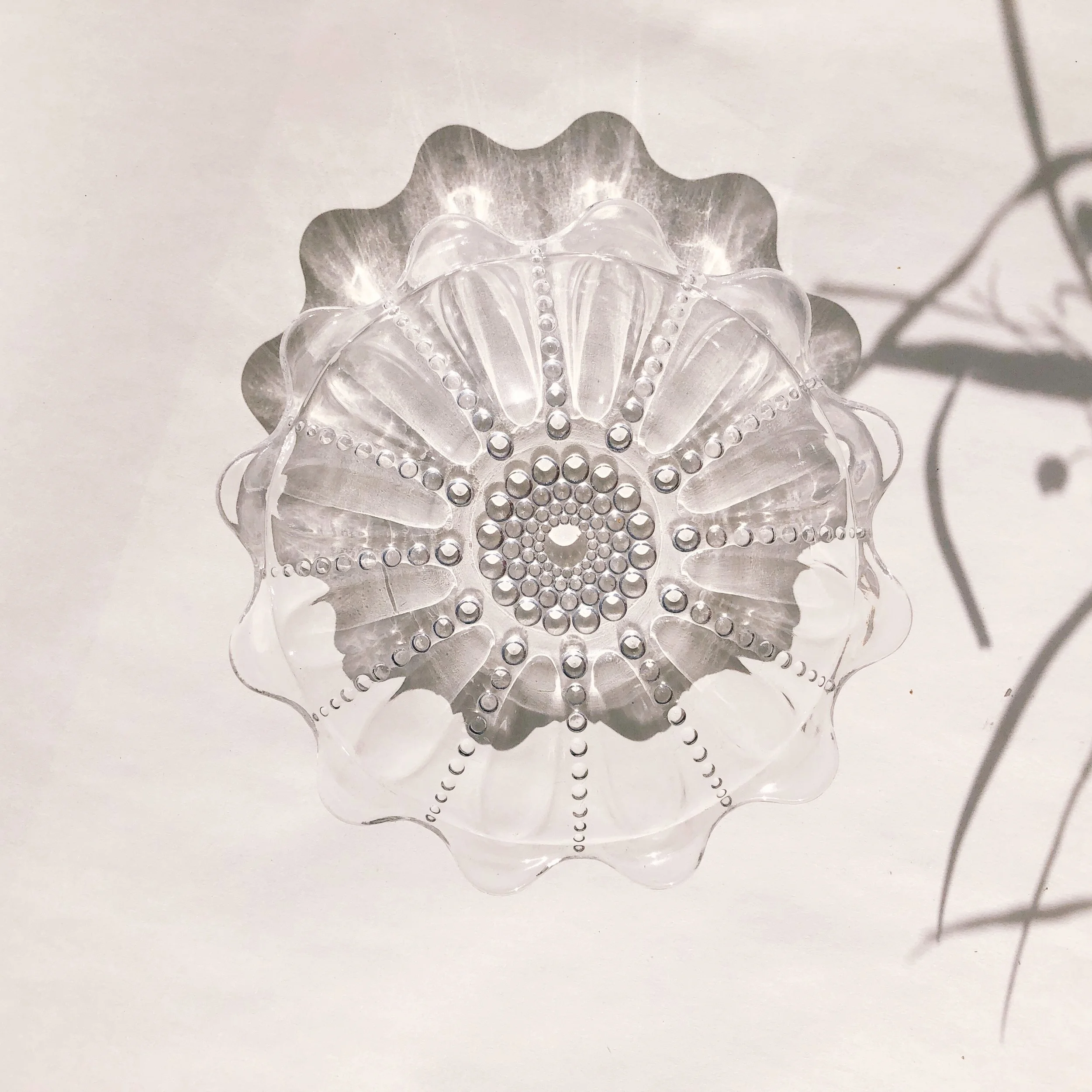 F6428AB1-7879-4D27-AD99-4FCEDEDEF337.JPG