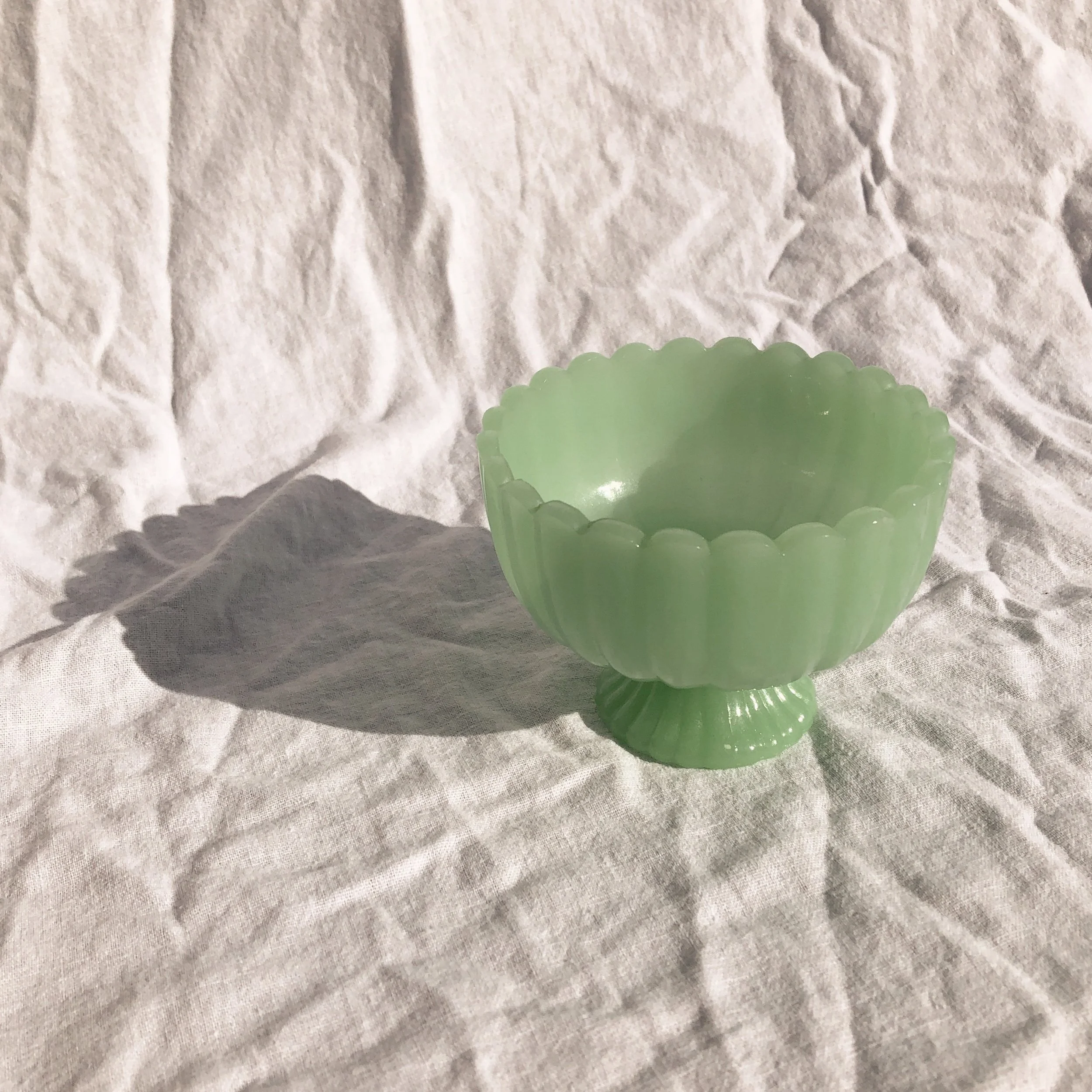 D1DA4CBD-60EC-4466-A866-4A476F949149.JPG