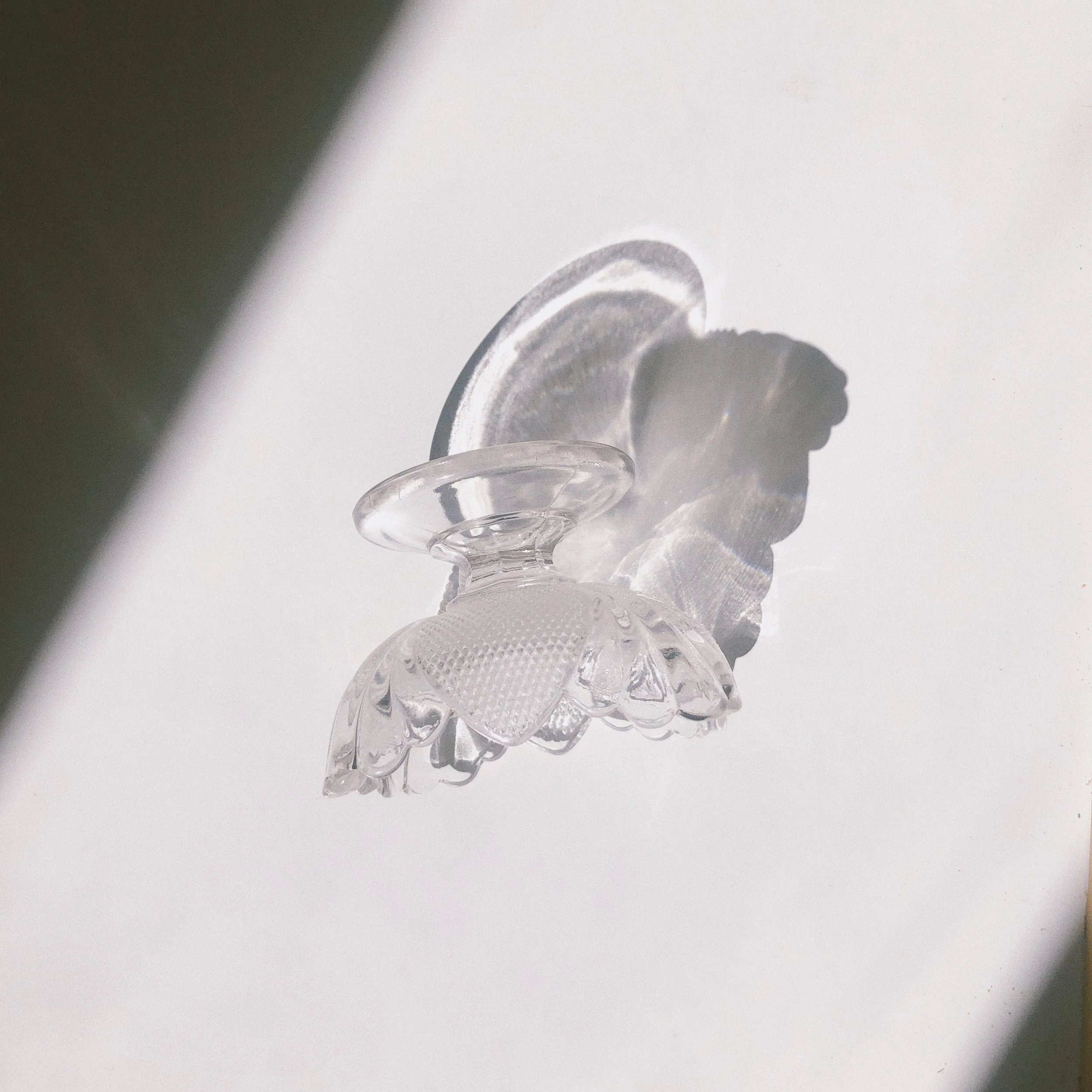 7F88A762-C11C-48DB-A3A0-DE506E93A89C.JPG