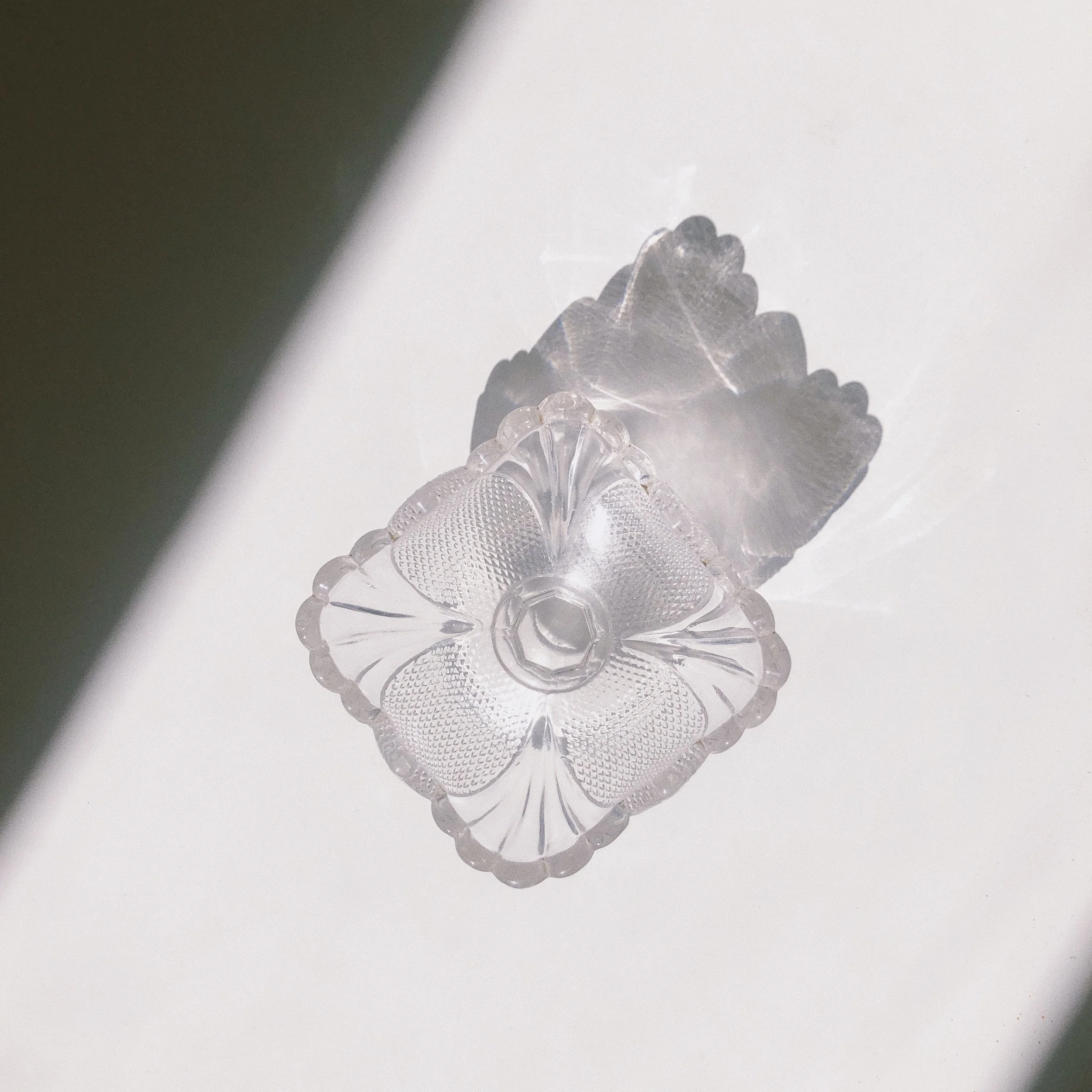 Baby Bloom, Vanity Trinket Dish