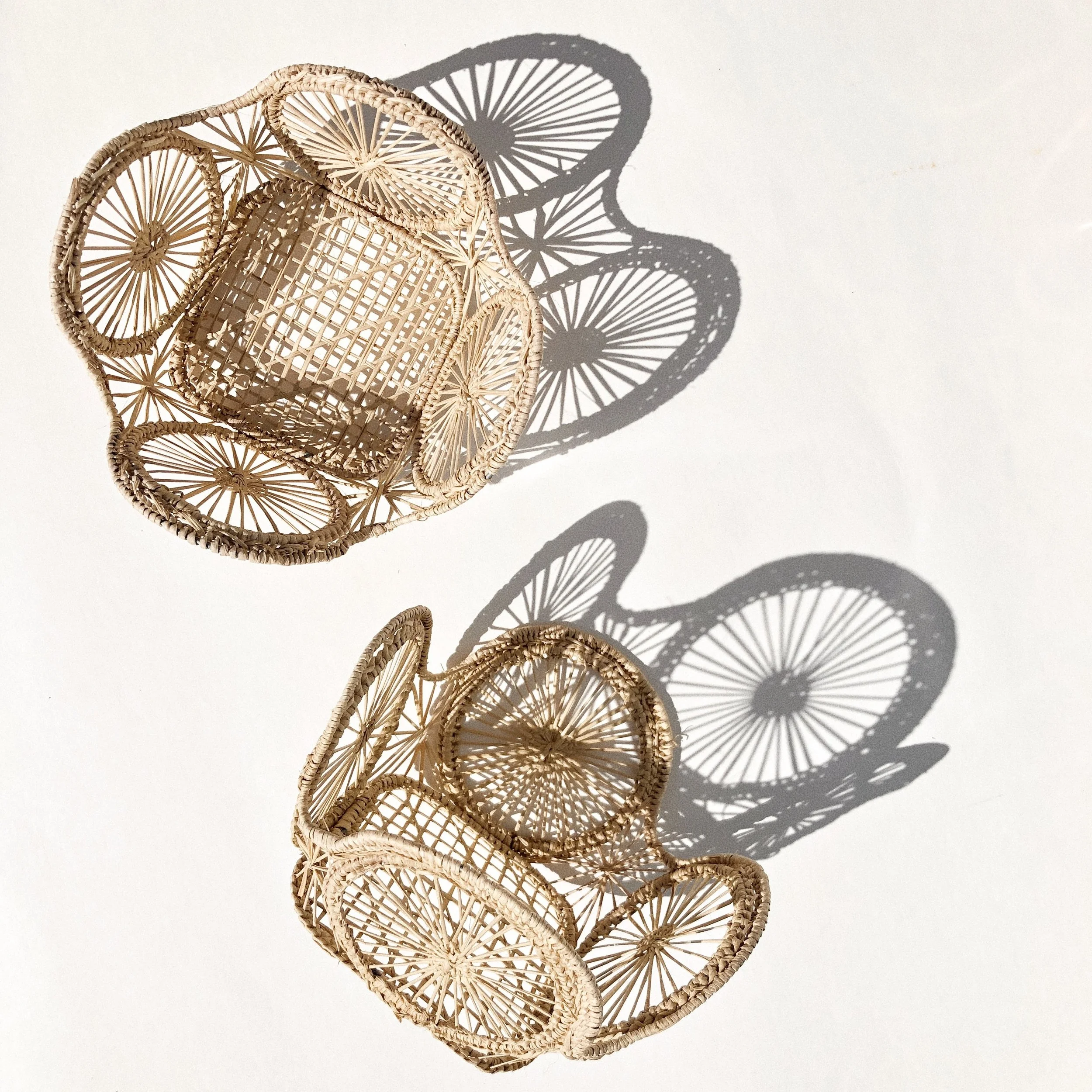 F1EB2177-1E5C-4AB1-87FE-83B445B0B802.jpg