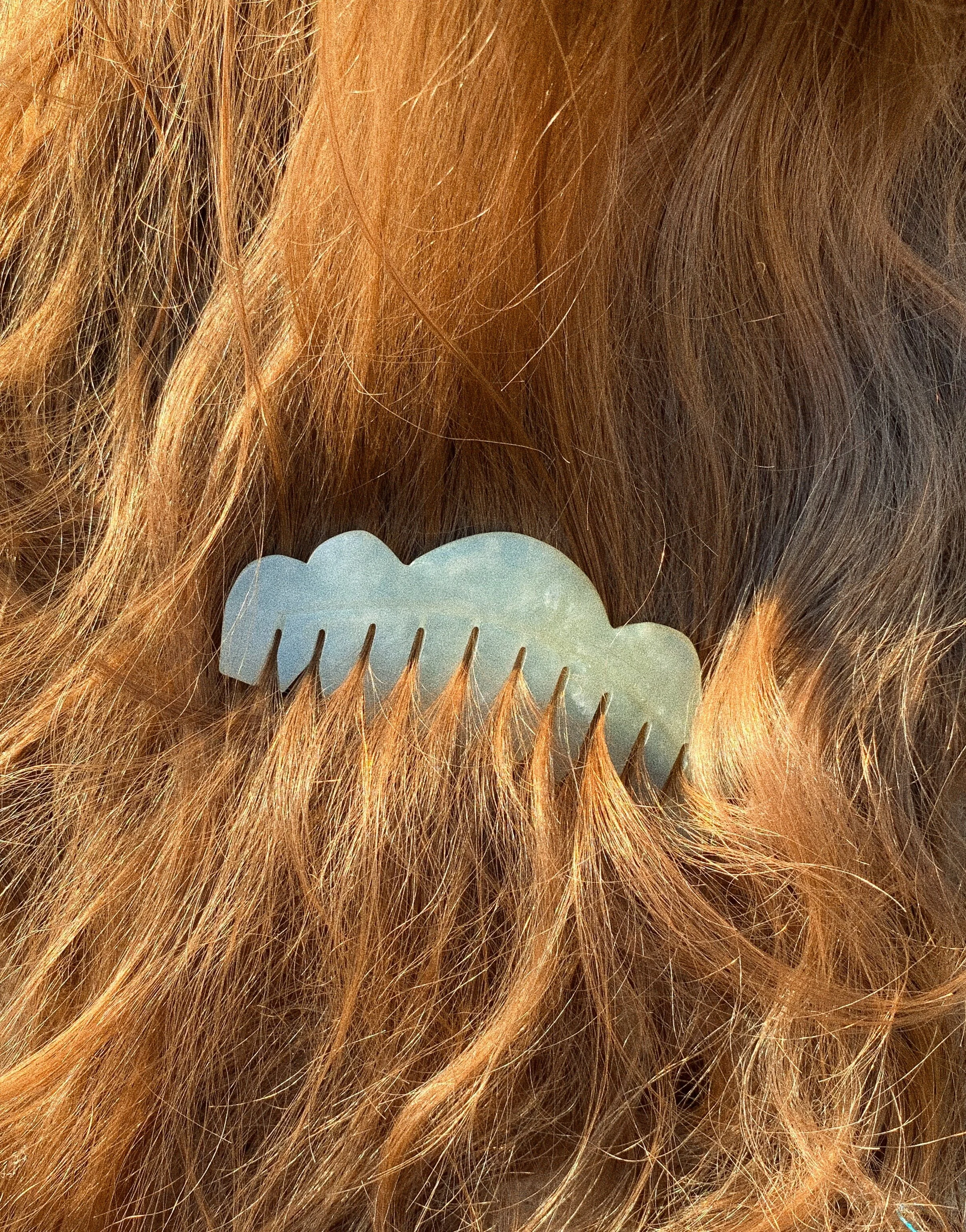 FullSizeRender 8.jpg