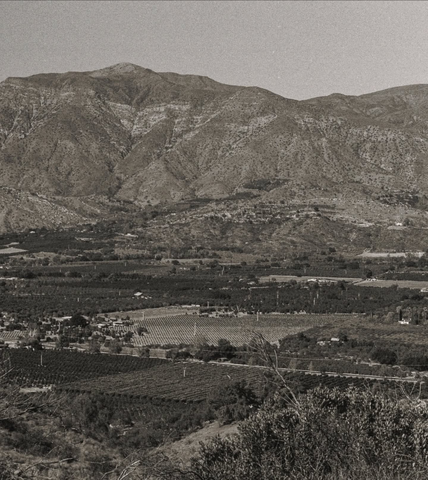 You can take the girl out of the valley... but she always ends up going back. 

She'll be here soon 🍋🌷