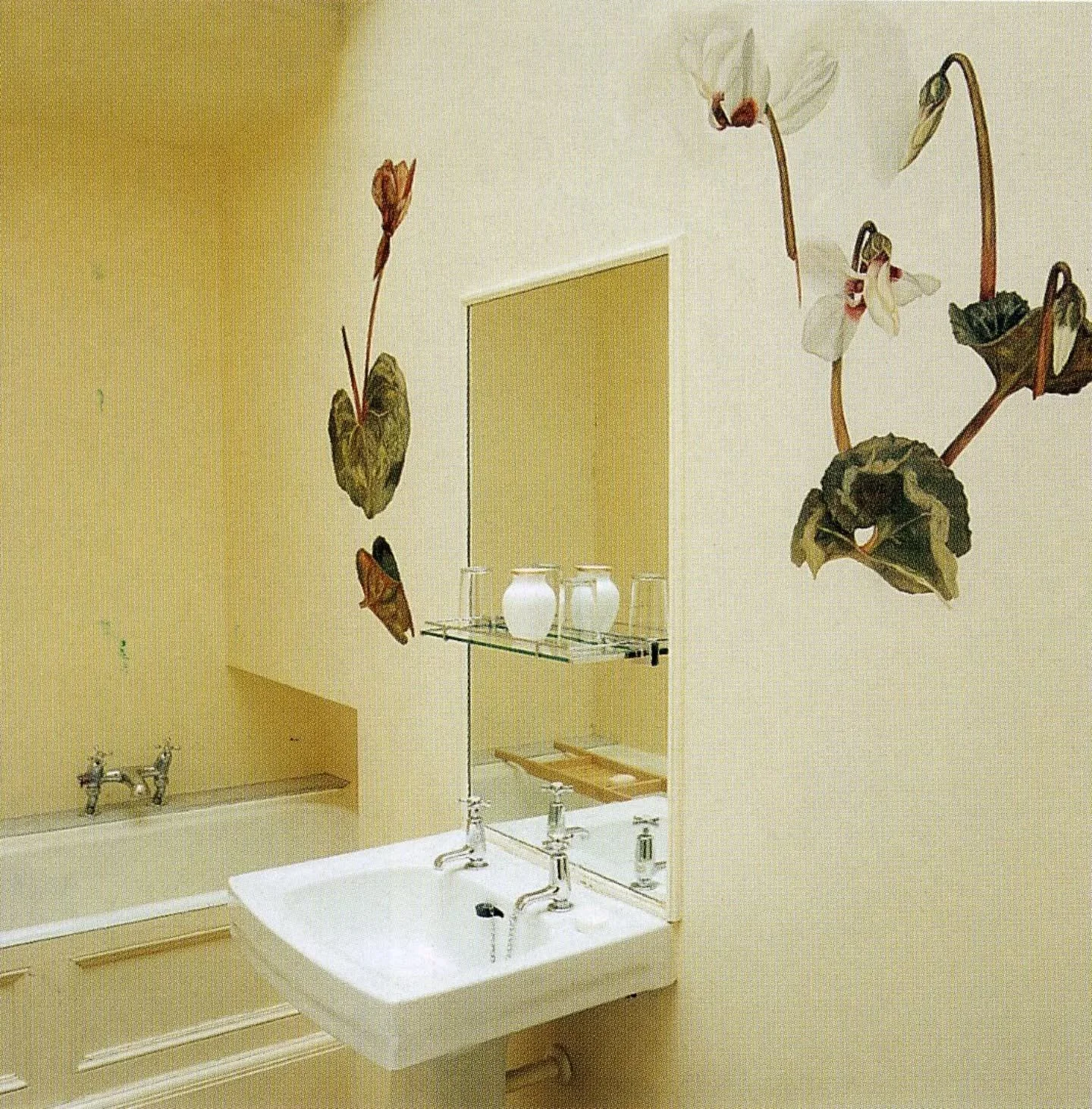 Sunday cleanse 🦢☀️🌱🐚