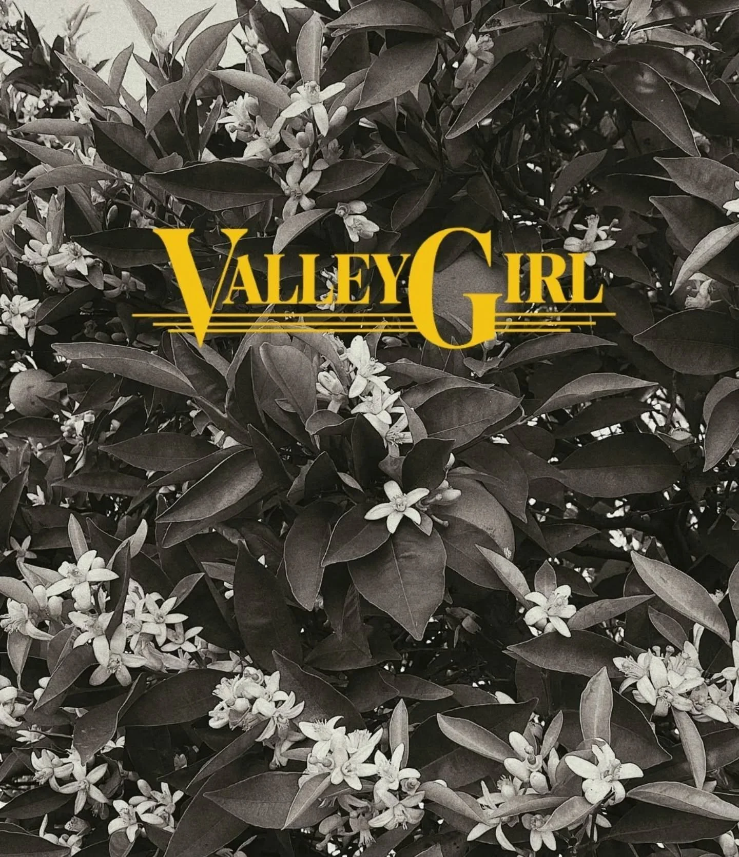 Forever young, wild, and free - we can't help but get nostalgic when it comes to Valley Girl. A fragrance that was born from within the orchards, circa 1990 something. 

We can't wait to share her with you, online tomorrow 🍋〰️