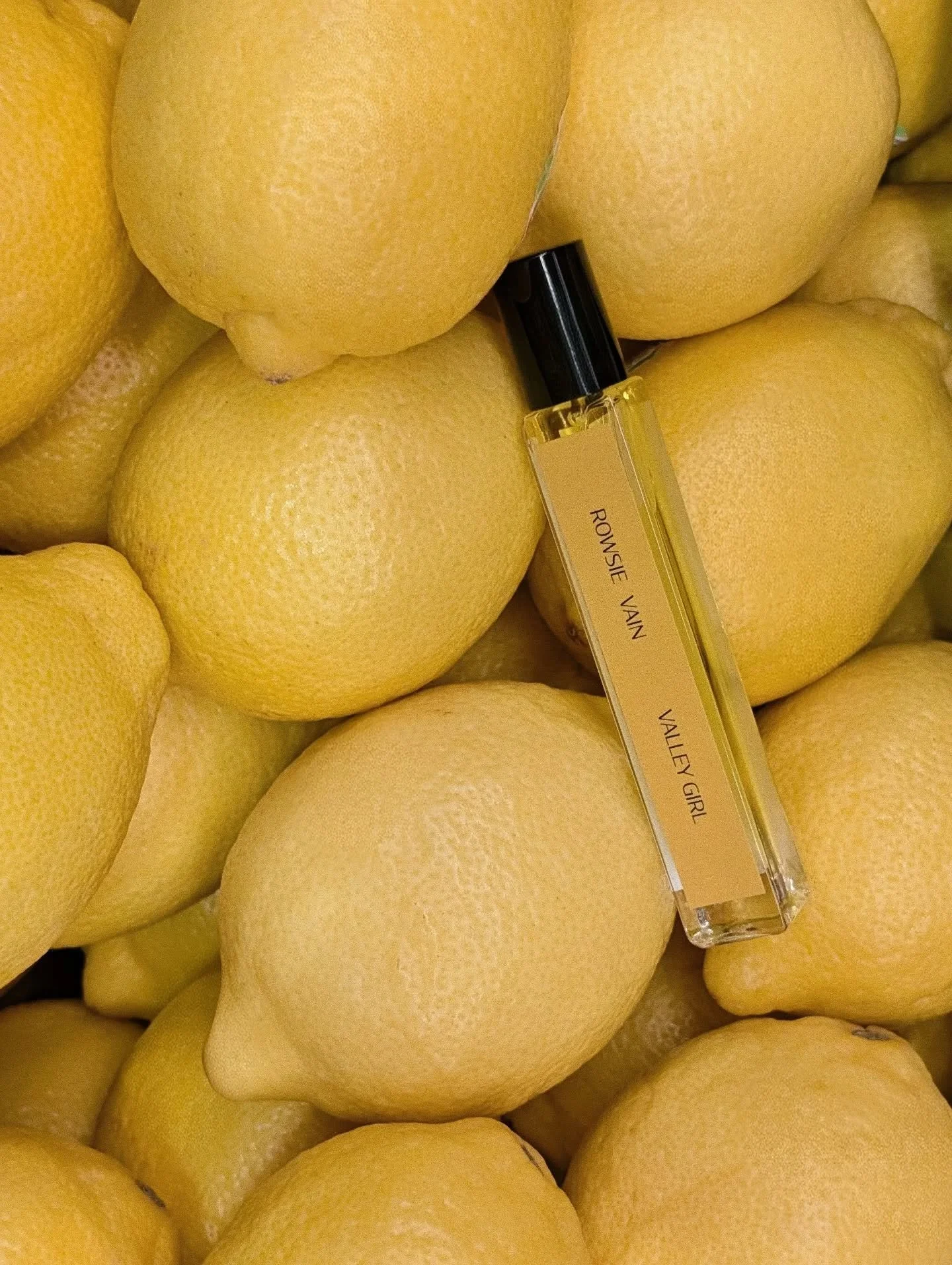 Meet Valley Girl. 

As natural as a sunbeam, untamed, and luminous, Valley Girl is a free-spirited, au naturel fragrance of sunkissed florals, twisted citrus and aromatic dewy orchards. 

A hypnotic floral vortex of lemon and rose geranium, organic s