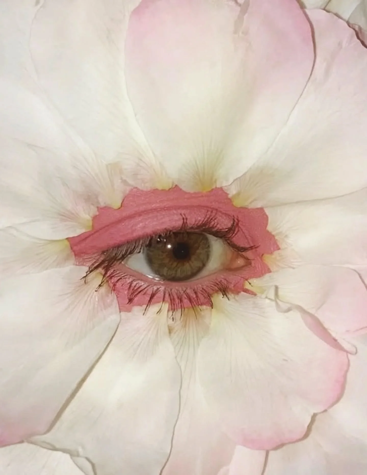 POV: You are the gift 💖  Happy Holidays, Dreamgirls.