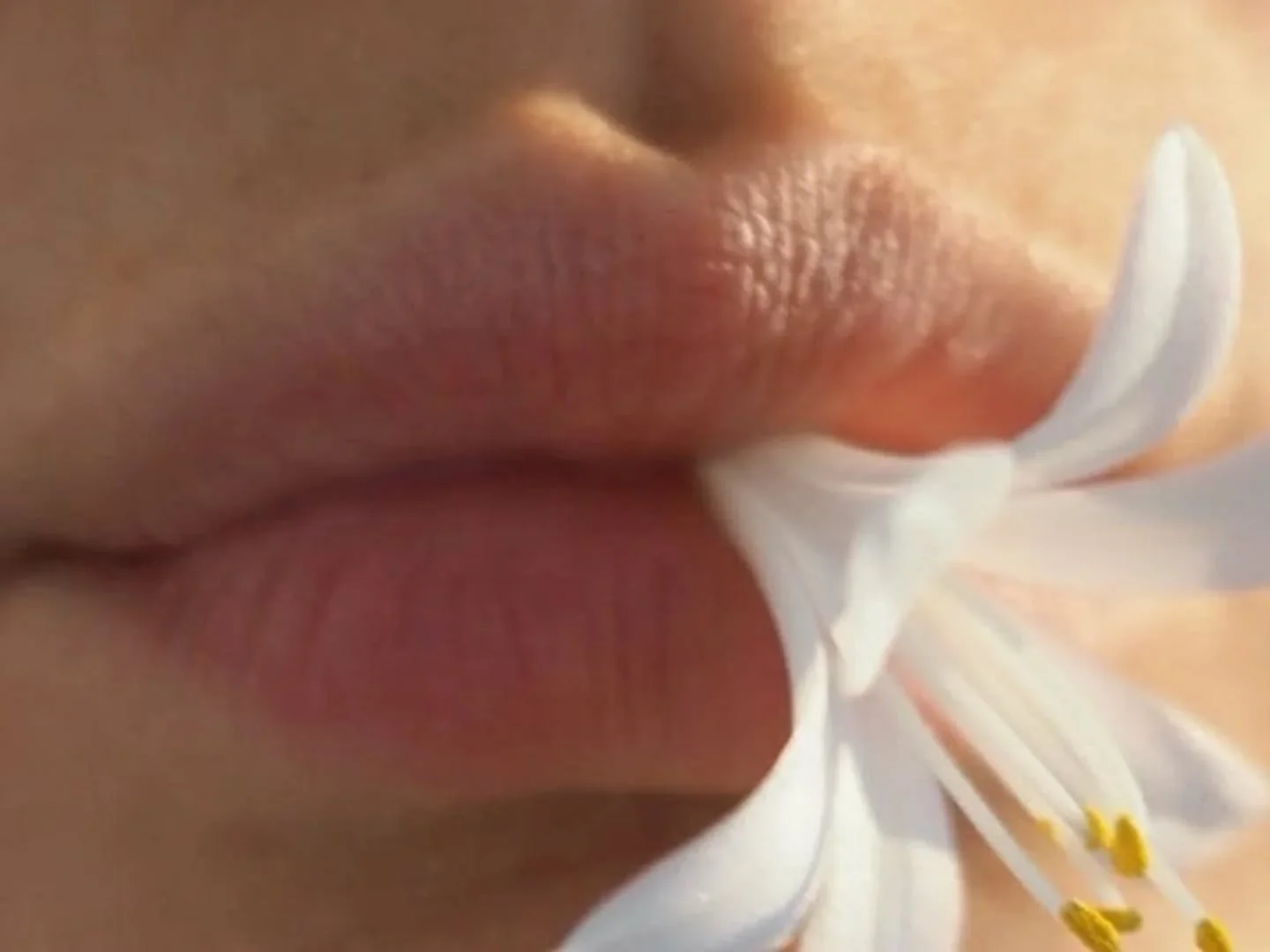 Another day to be your most authentic self. 

Today is the last day to shop our Spring Sale, take 20% off with code FLEUR at checkout.